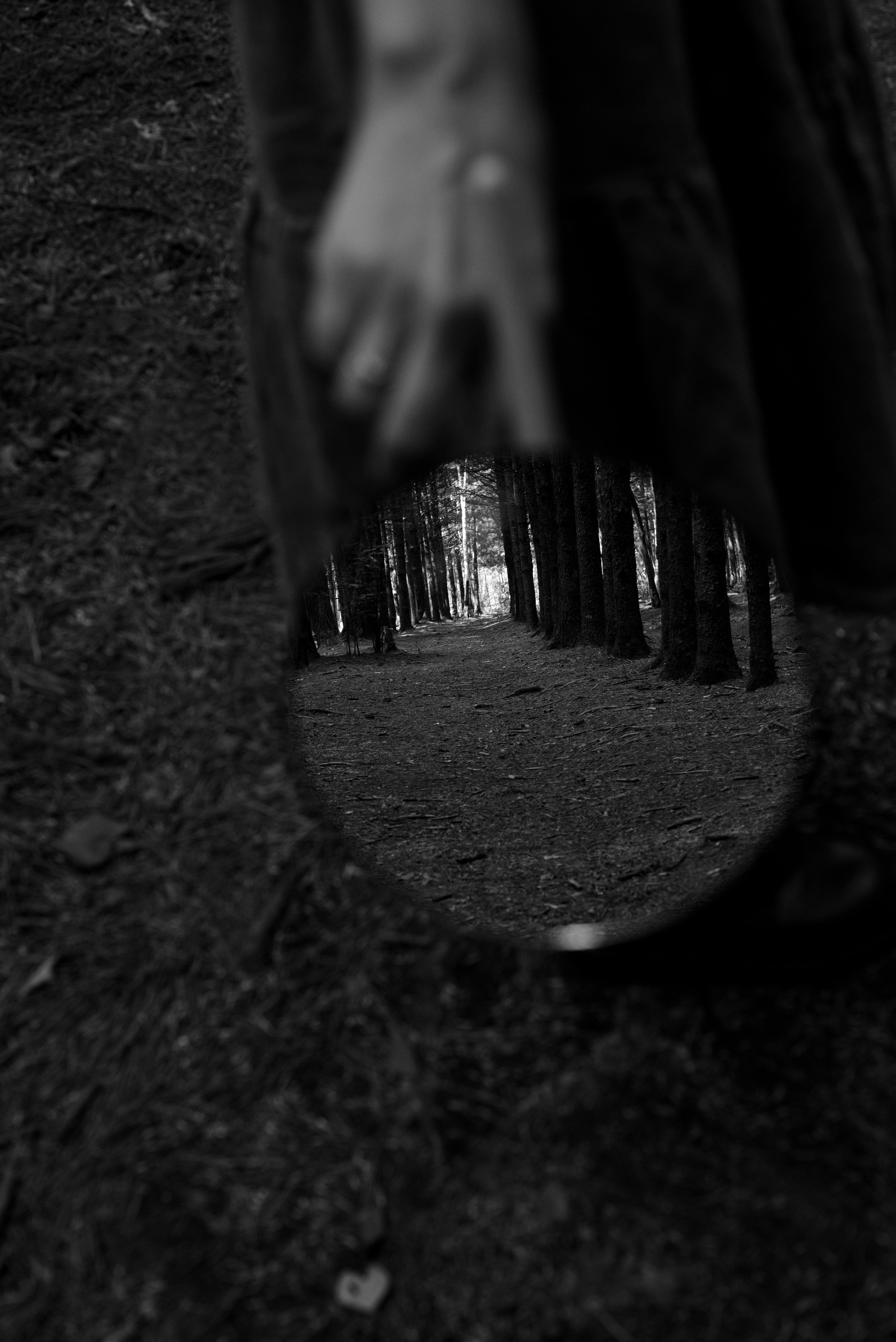 Даша. Я — Фотограф из Хабаровска