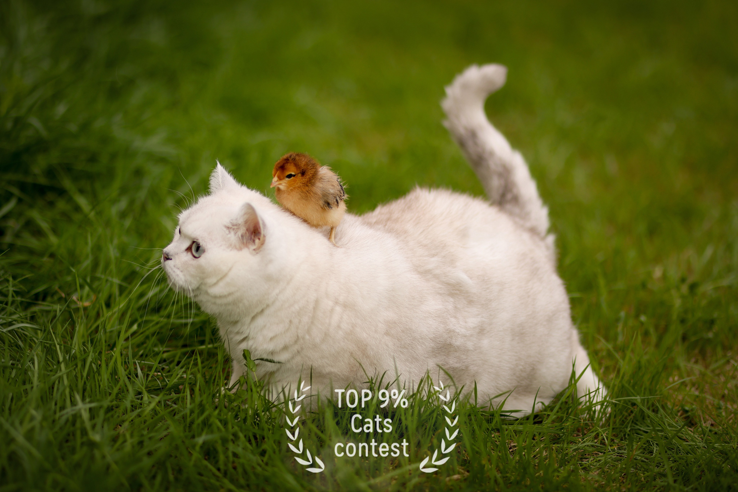 Фотопремия 35AWARDS. Фотограф в Самаре