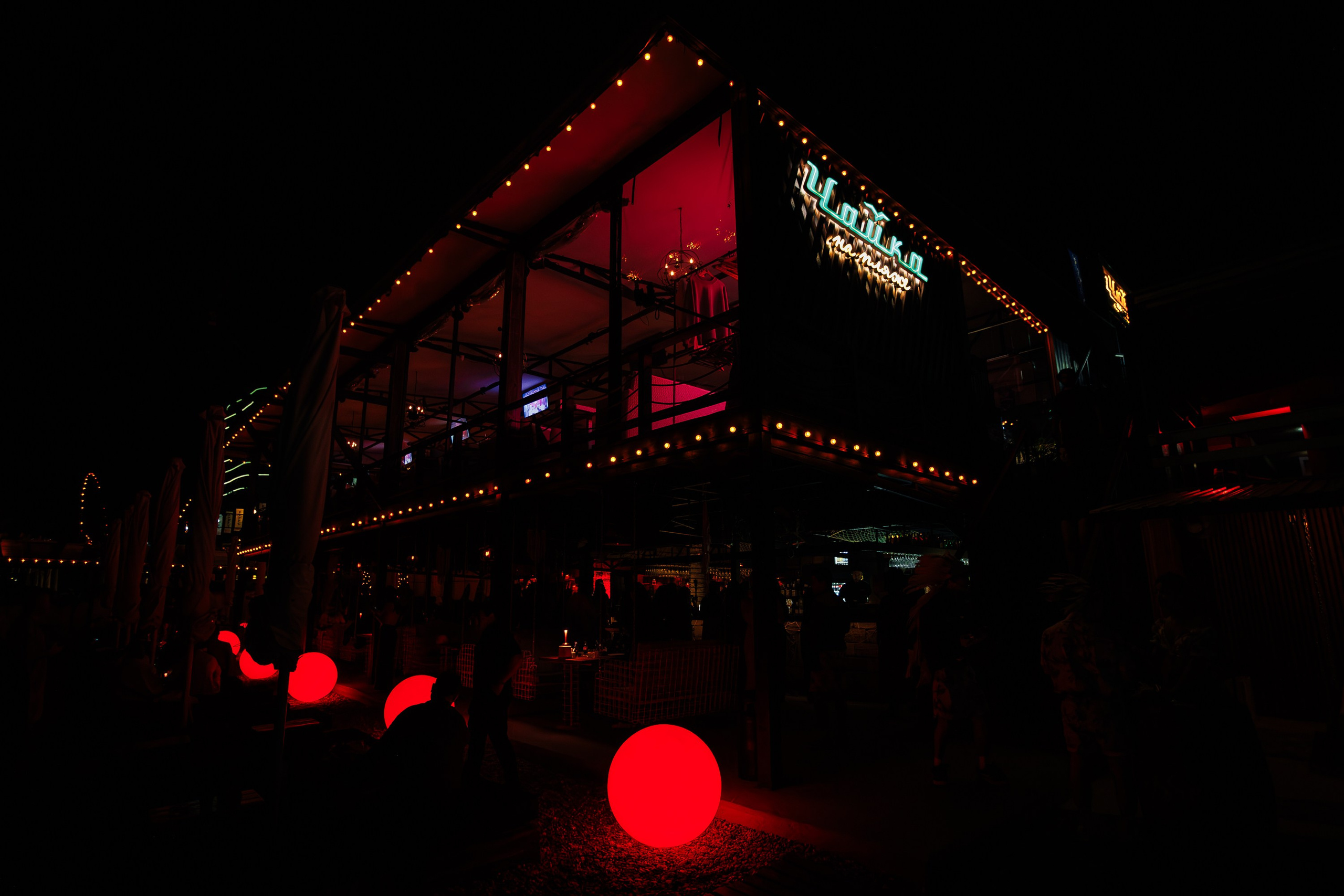 «Karena Makarena"_Чайка на пляже_ Ялта_6.06.2025 г. Аминов Руслан | Фотограф