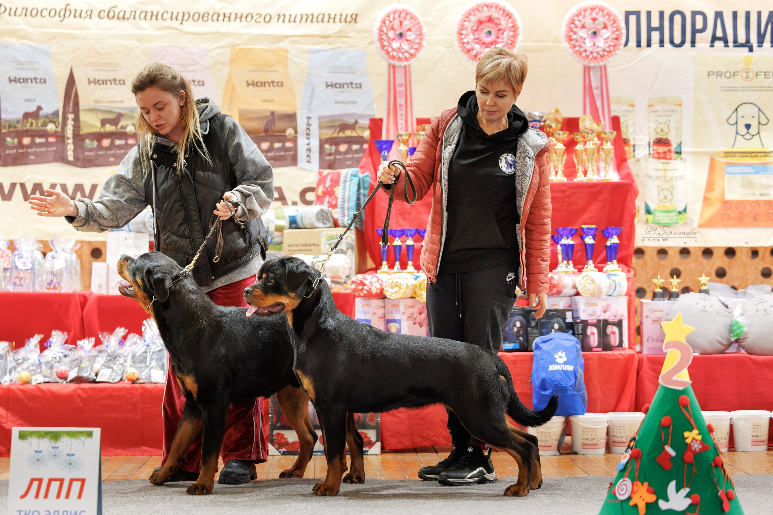 Тверь 21.12.2025. Фотограф-анималист Юлия Германика