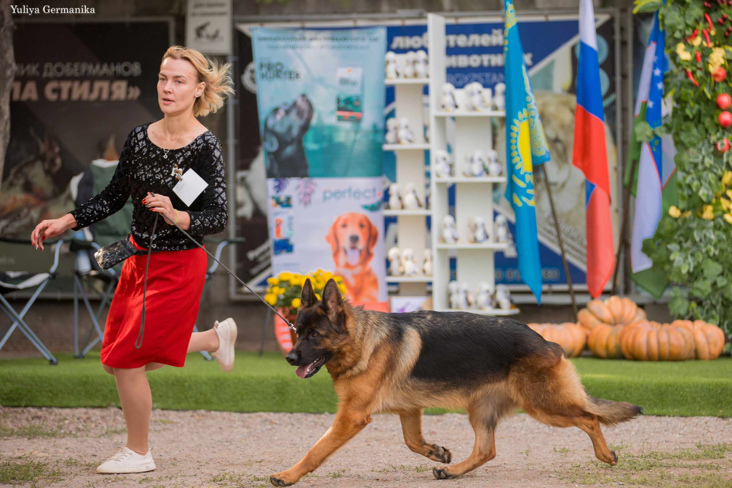 Бишкек 29.09-01.10.2023. Фотограф-анималист Юлия Германика