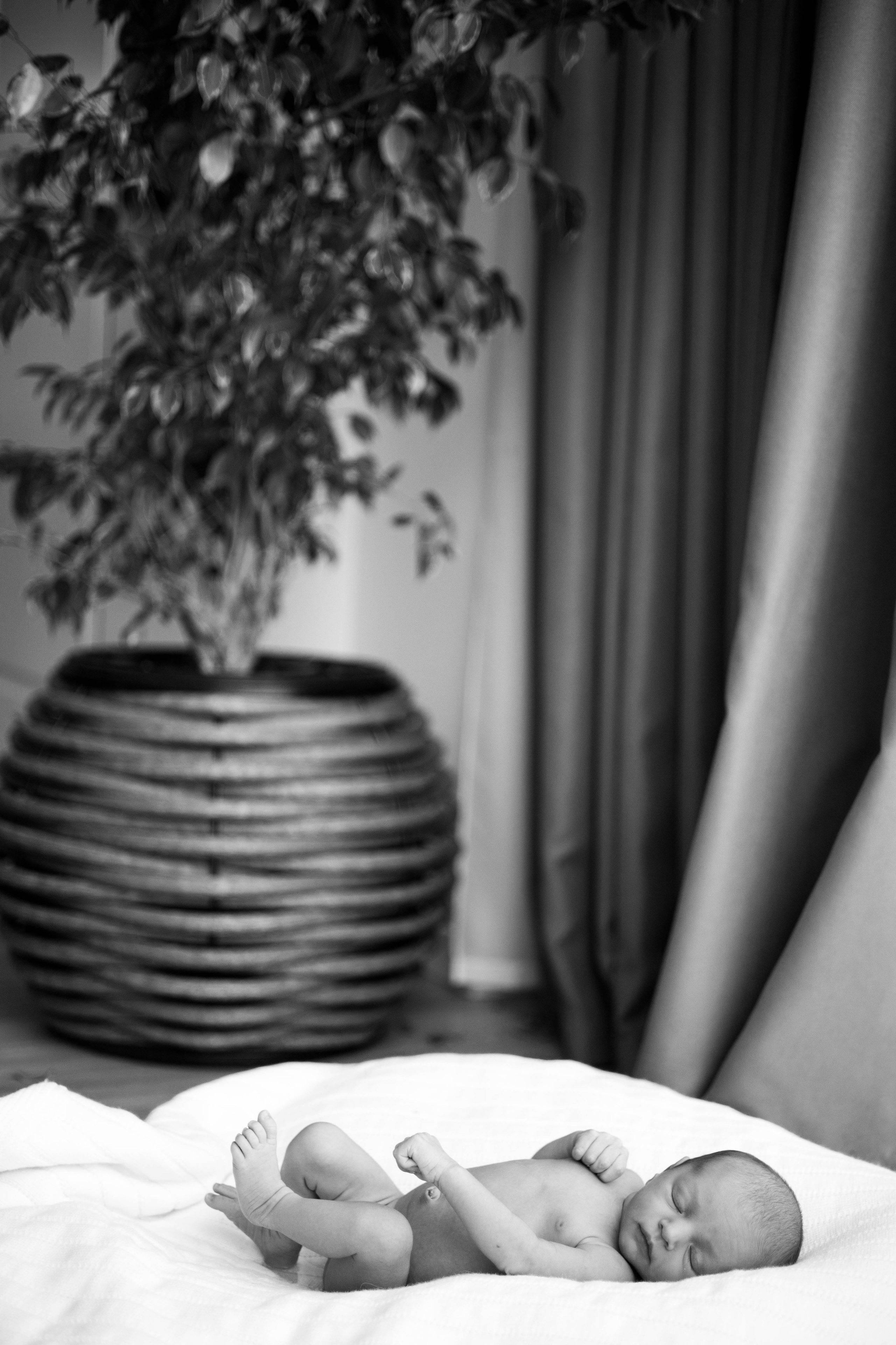 Семейный и детский фотограф в Ростове-на-Дону Удалова Лина