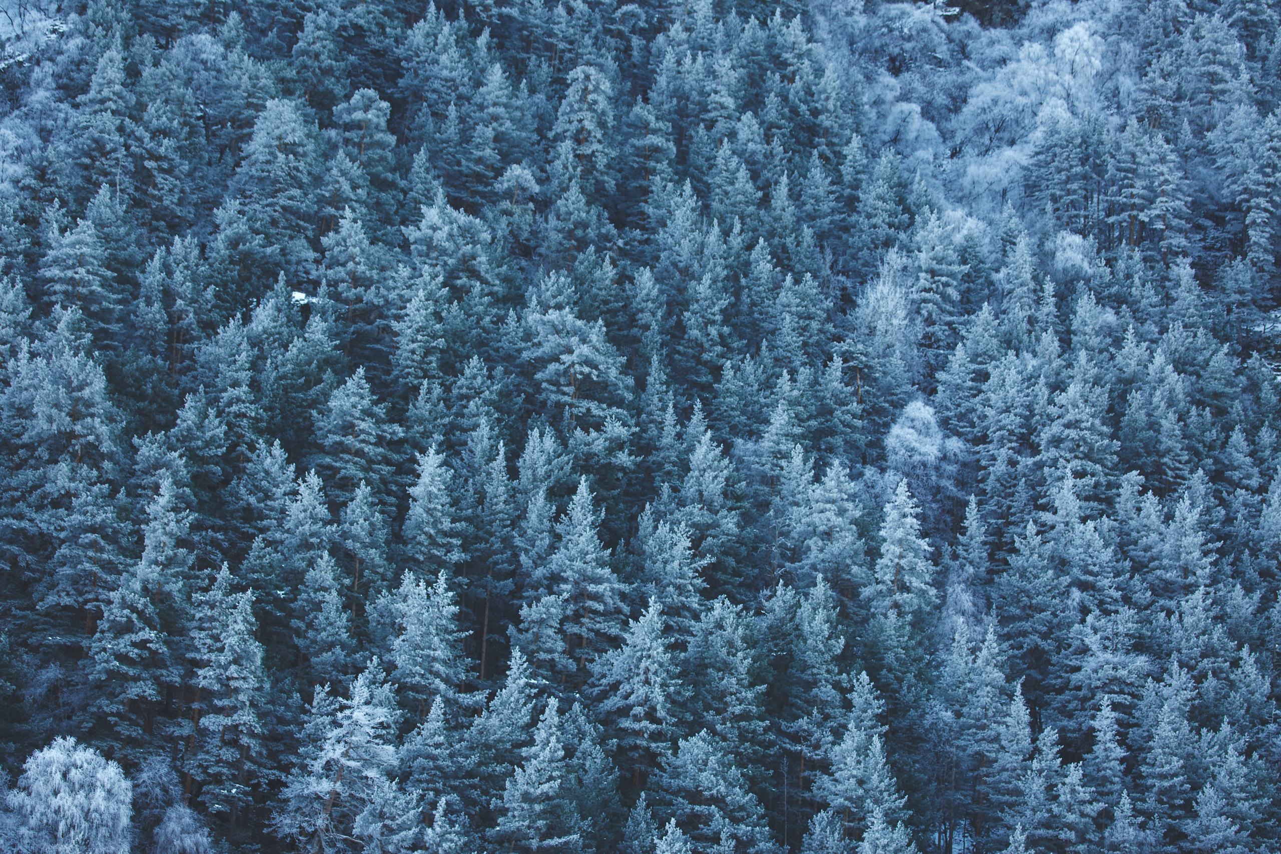 Путешествия и лайфстайл. Горный фотограф на Кавказе Никита Першин