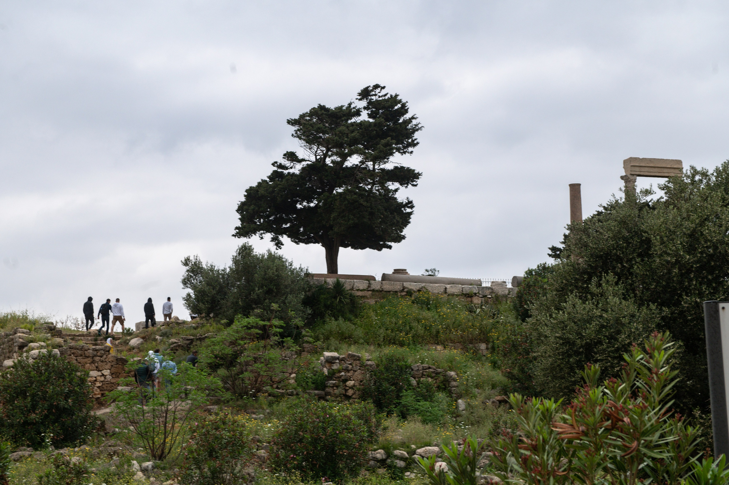 Из Бейрута в Александрию. Репортажный фотограф в Москве и по всему миру Степанова Юлия