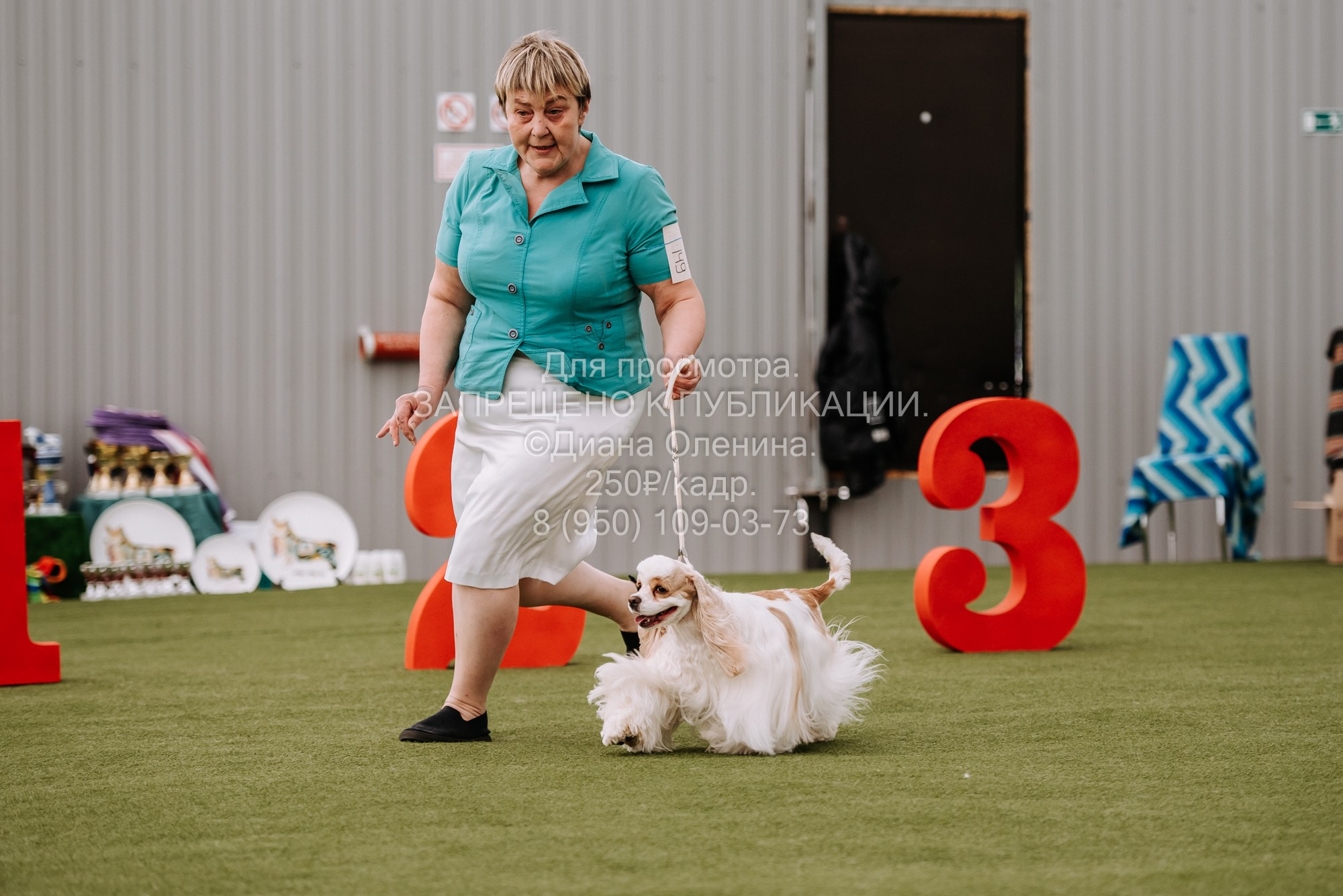 Выставка собак Красноярск 2.06. Фотограф Диана Оленина Красноярск / Братск