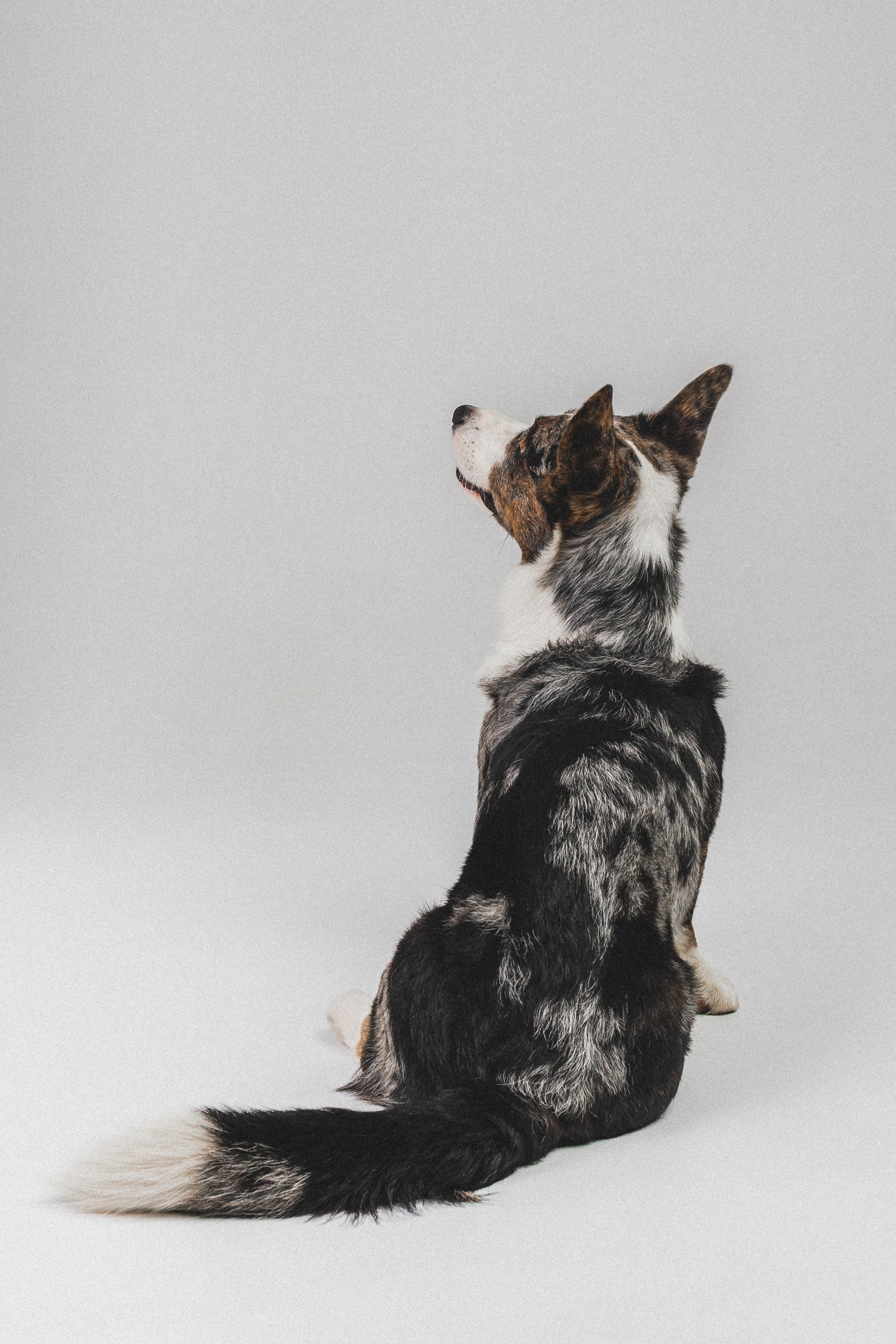 Анатолий и Рагнар