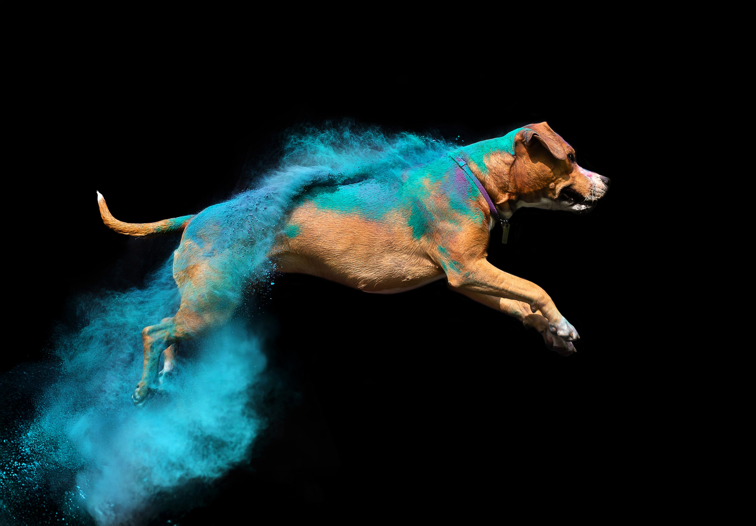 Батлер и Кэти