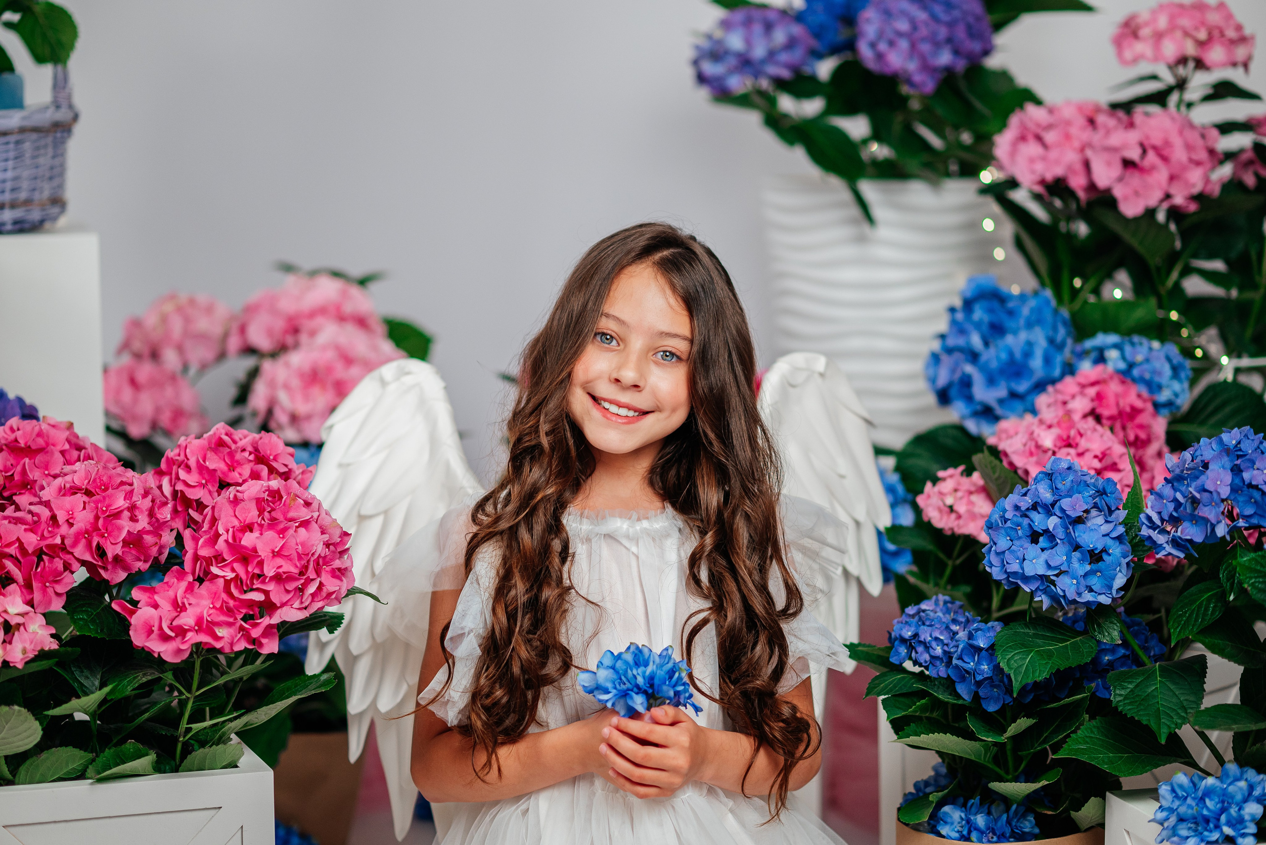 Вероника и гортензии. Семейный фотограф в Краснодаре