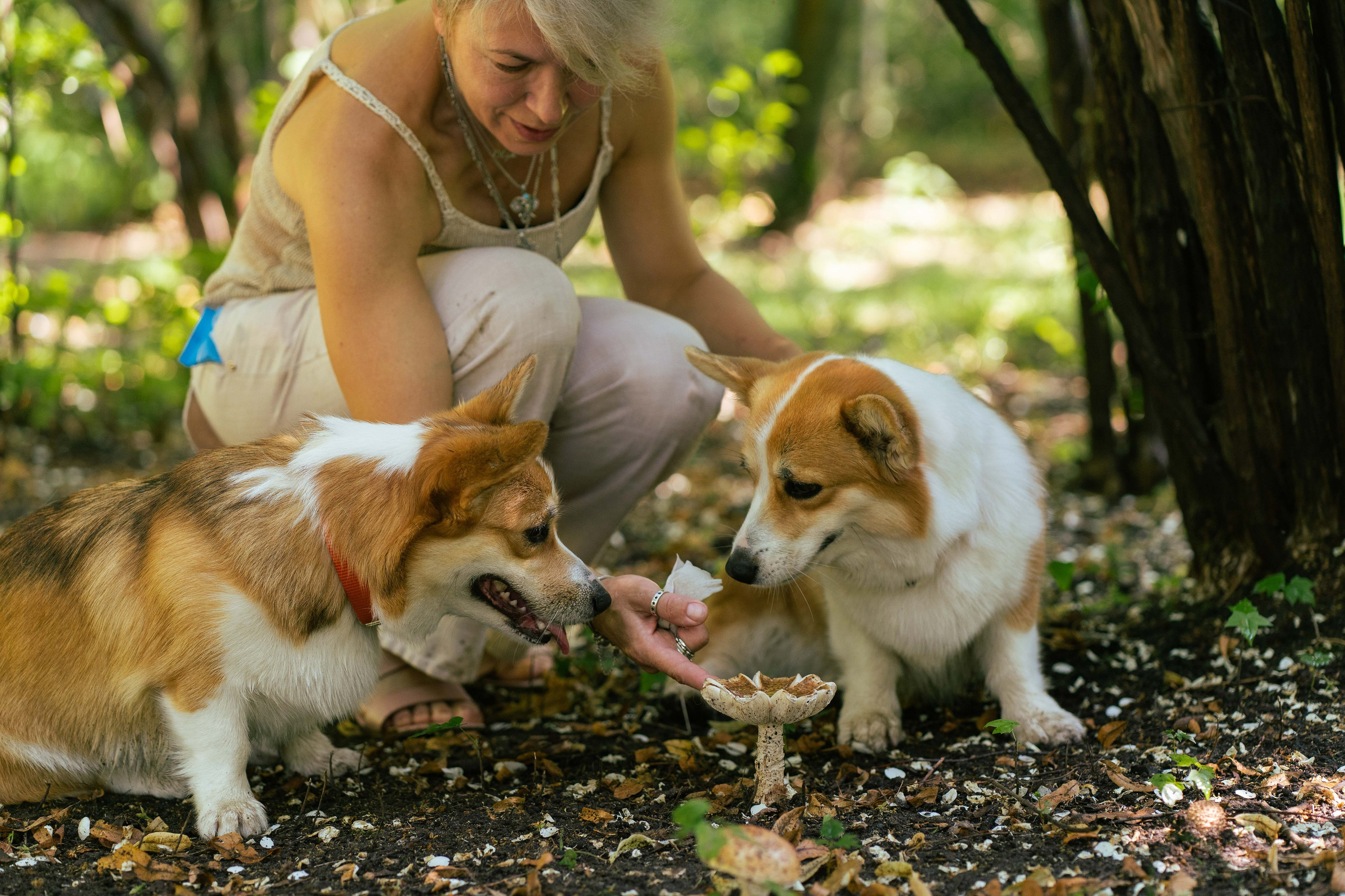 Ольга и коржики. Свадебный фотограф в Москве Анна Полушина