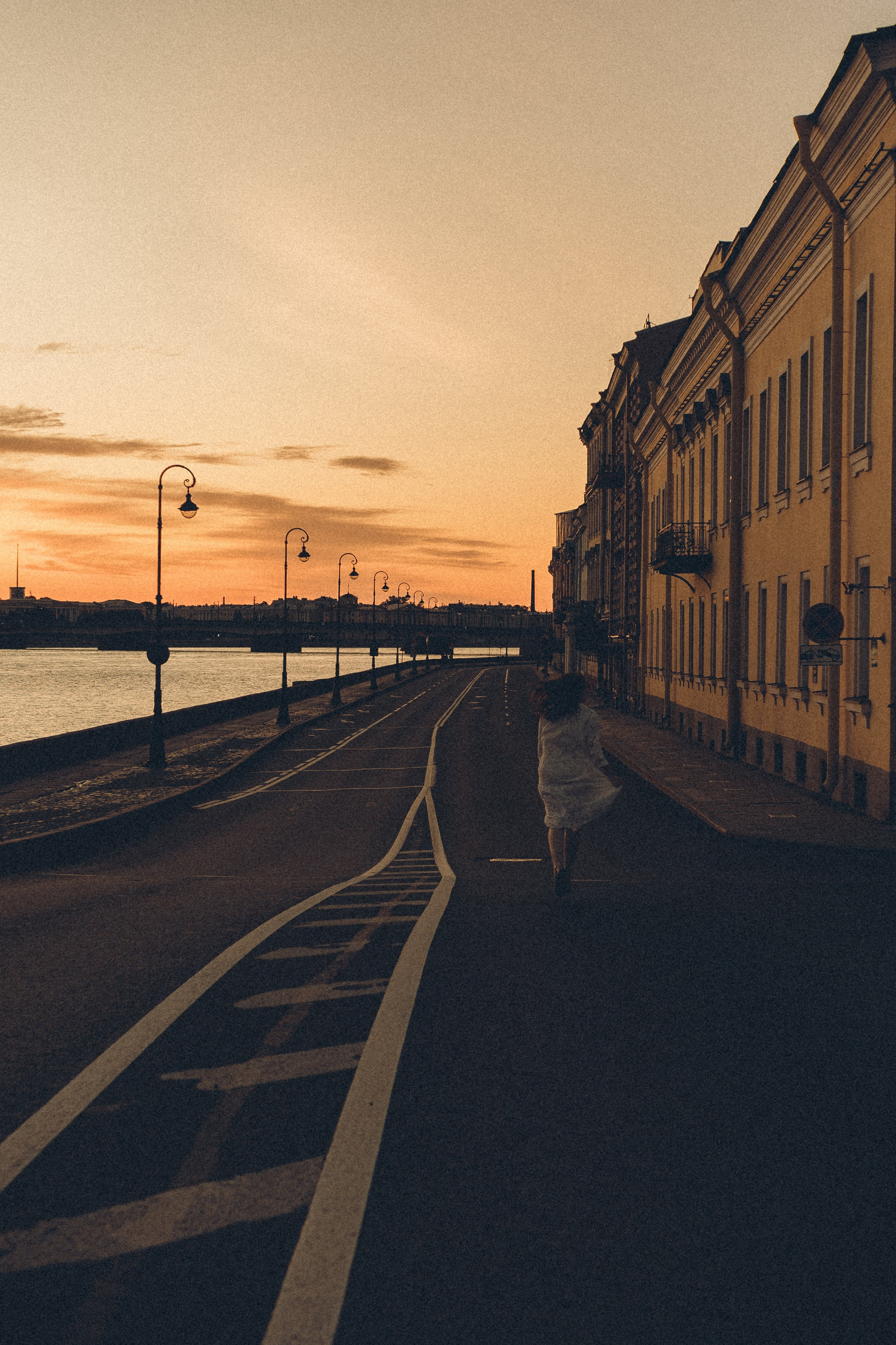 РАССВЕТ С РАЗВОДНЫМИ МОСТАМИ. Профессиональный фотограф, Санкт-Петербург — Виктория Богомолова