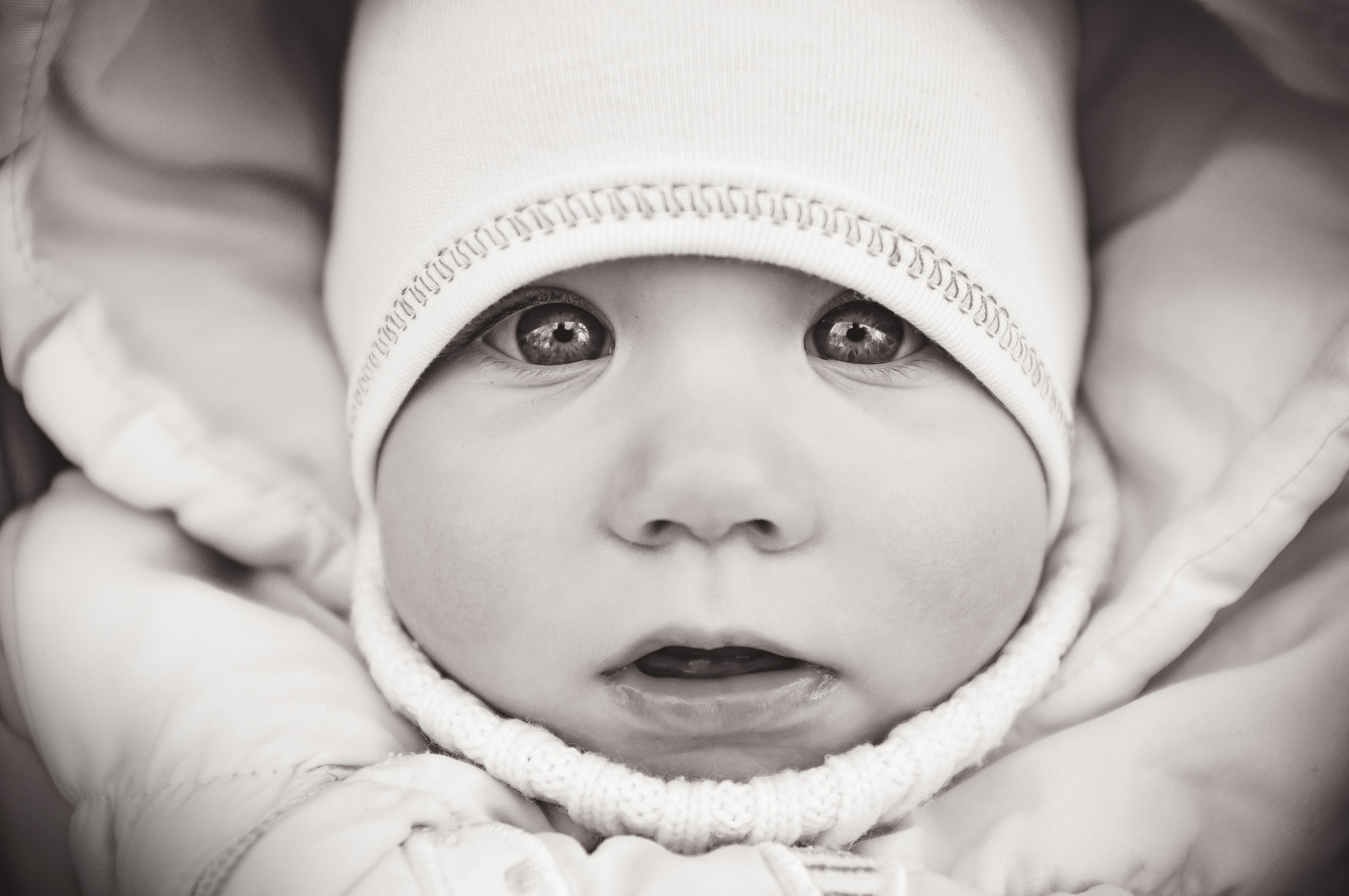 Профессиональный фотограф Алексей Спиридонов, Москва — интерьер, промышленная и семейная съёмка, портреты, репортажи, флористика