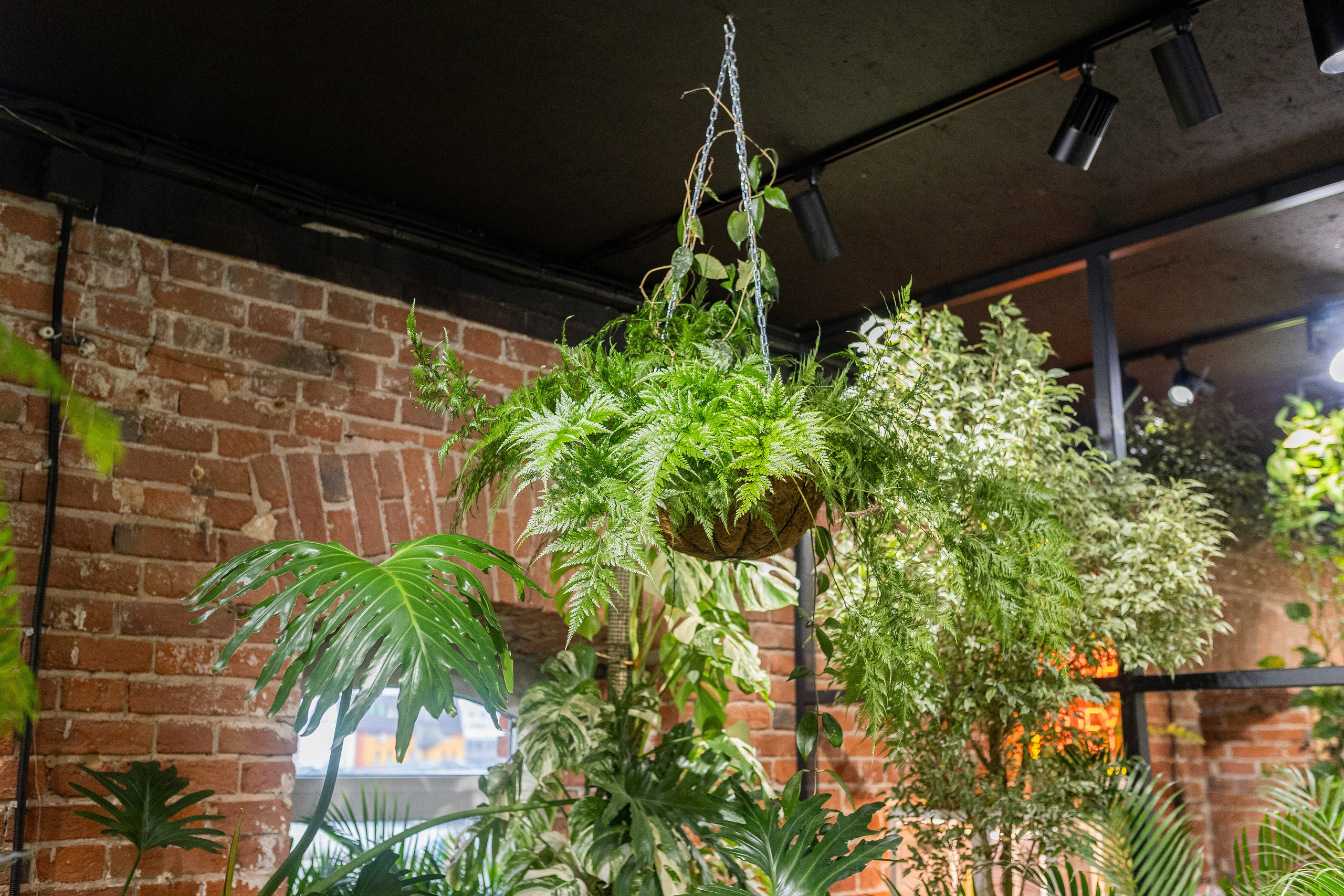 GreenRare ярмарка 2024. Александра Куликова фотограф, Москва