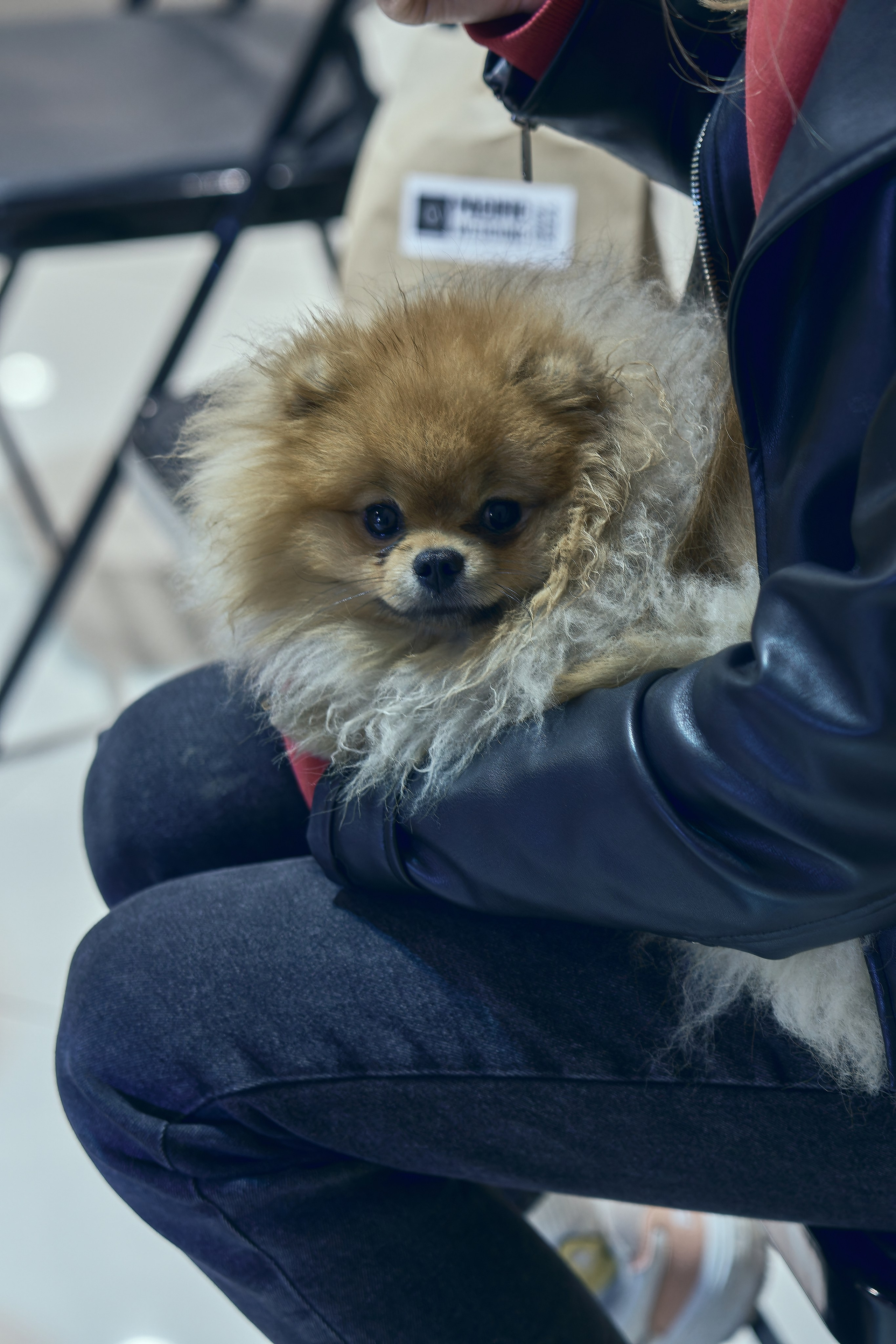 PACIFIC WEDDING SHOW. Фотограф во Владивостоке