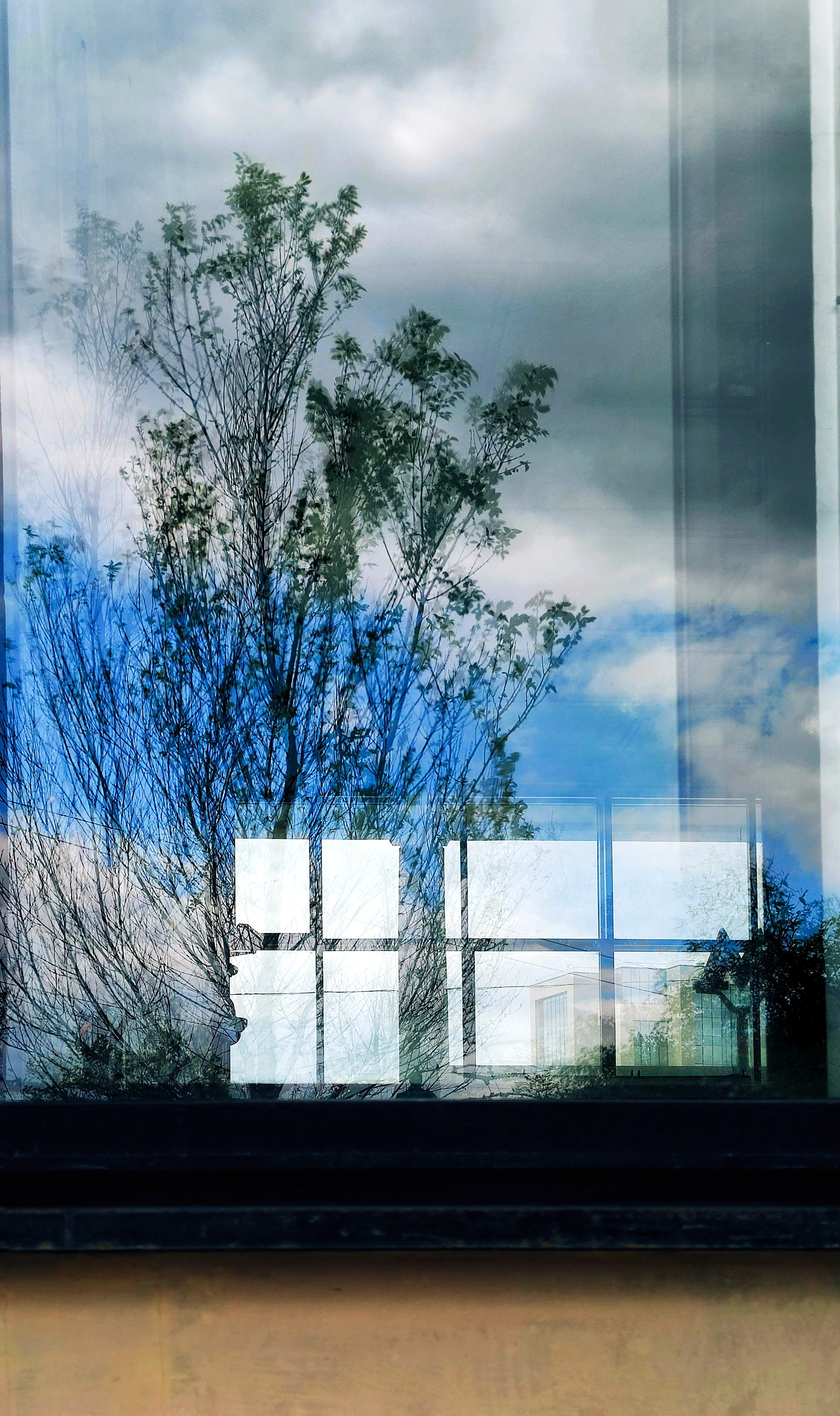 Окна. Фотограф в Москве, в Самаре Инна Мамонова