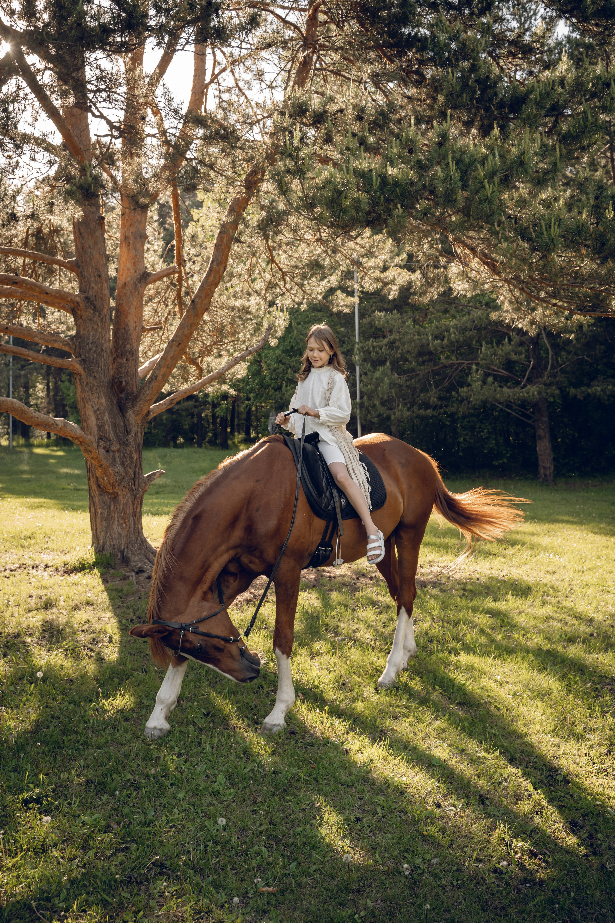 Семейная история с лошадьми. Главная
