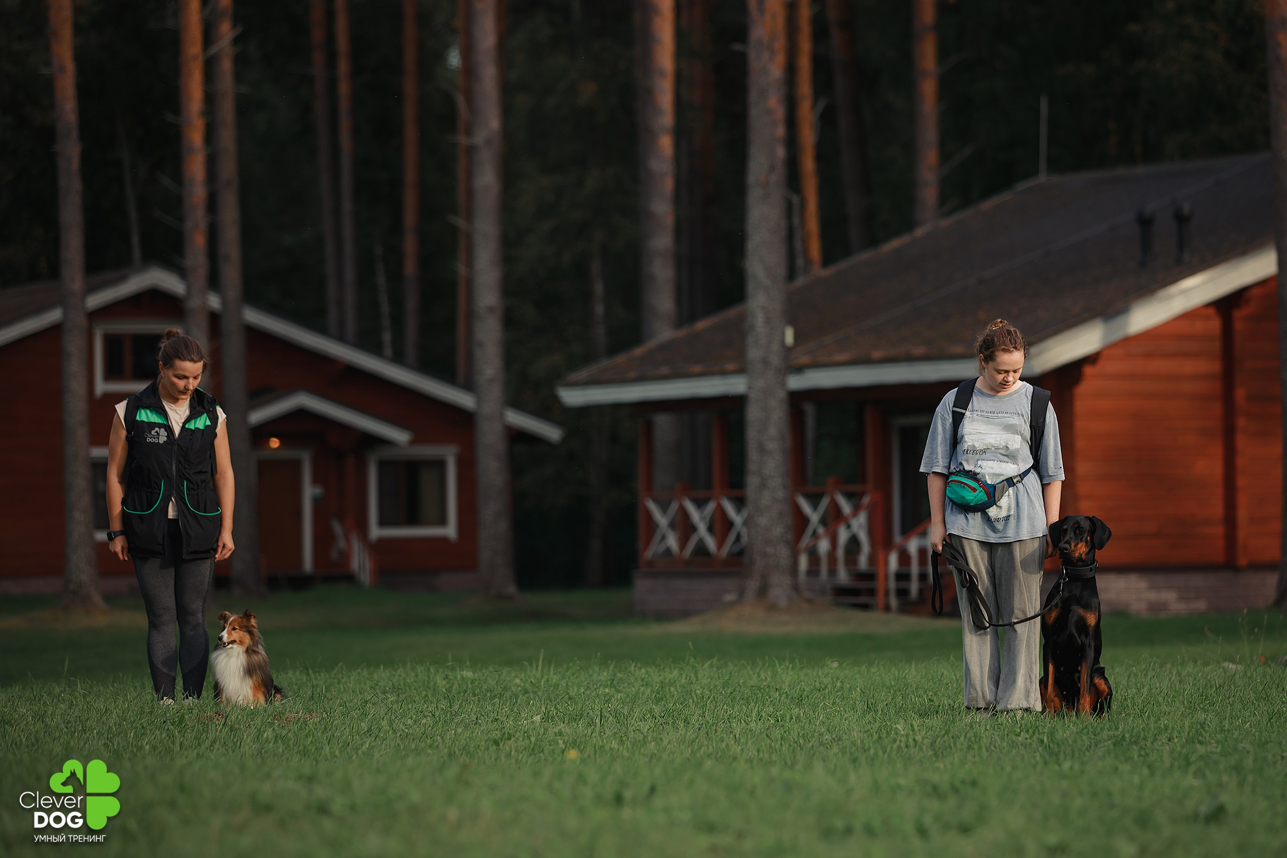 Кинологический лагерь CleverDog, 2024. Фотограф-анималист Mary Mart — Москва, Питер