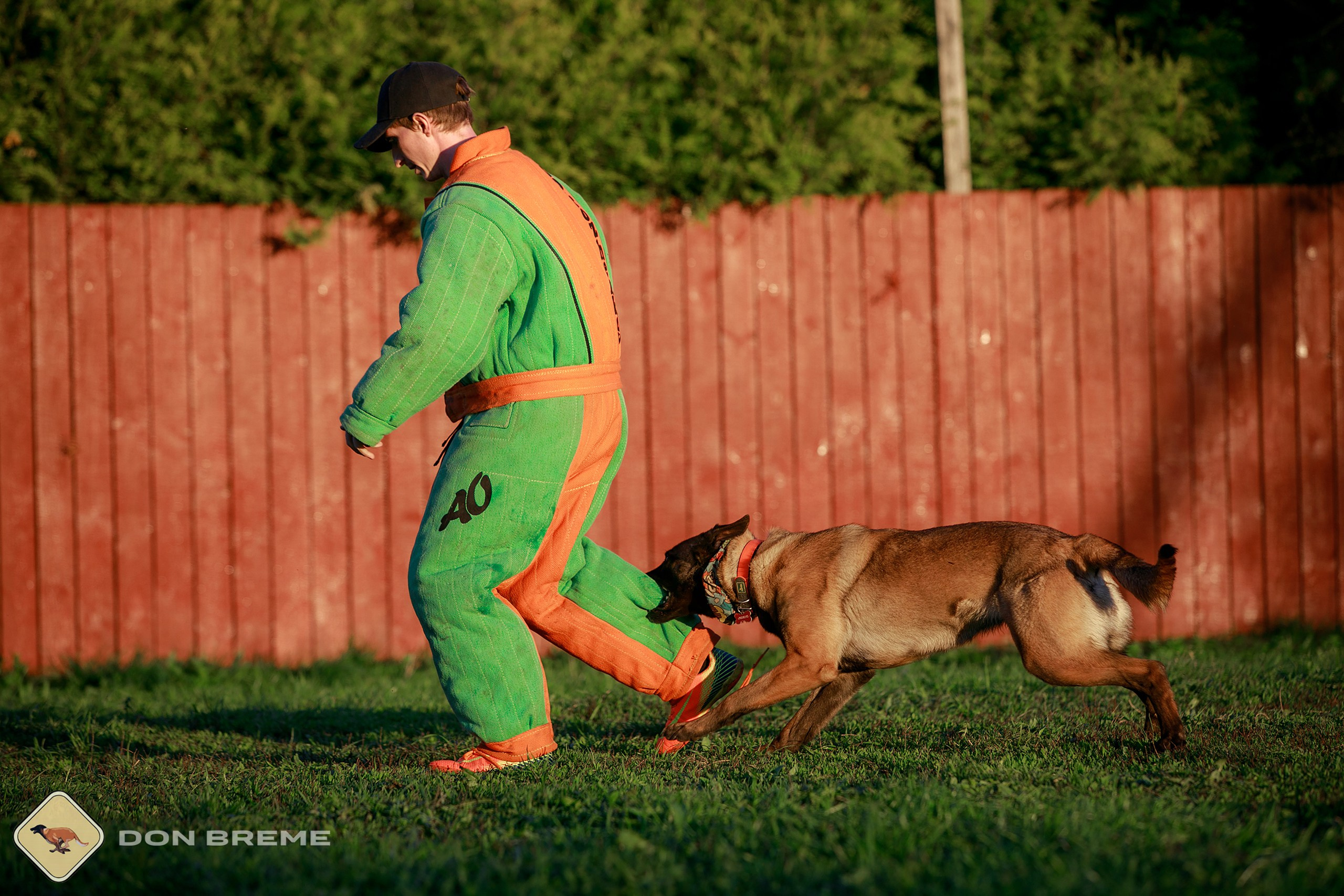 Семинар для фигурантов, день 3. Фотограф-анималист Mary Mart — Москва, Питер