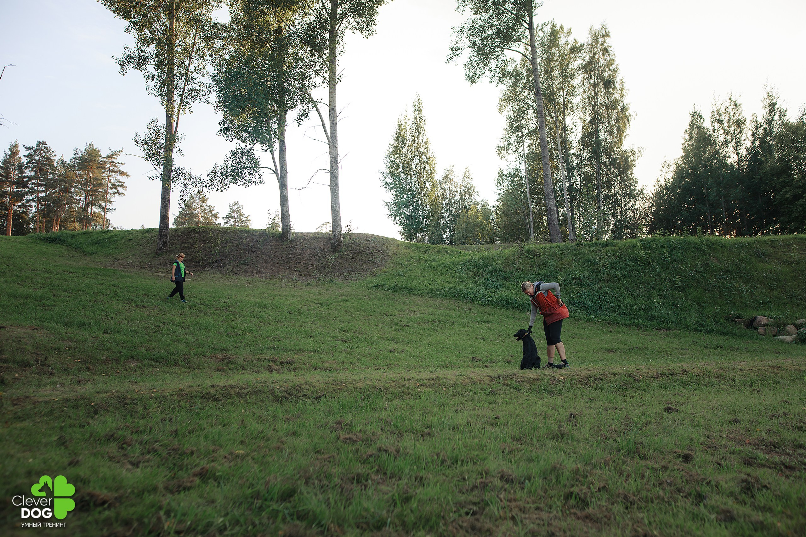 Кинологический лагерь CleverDog, 2024. Фотограф-анималист Mary Mart — Москва, Питер