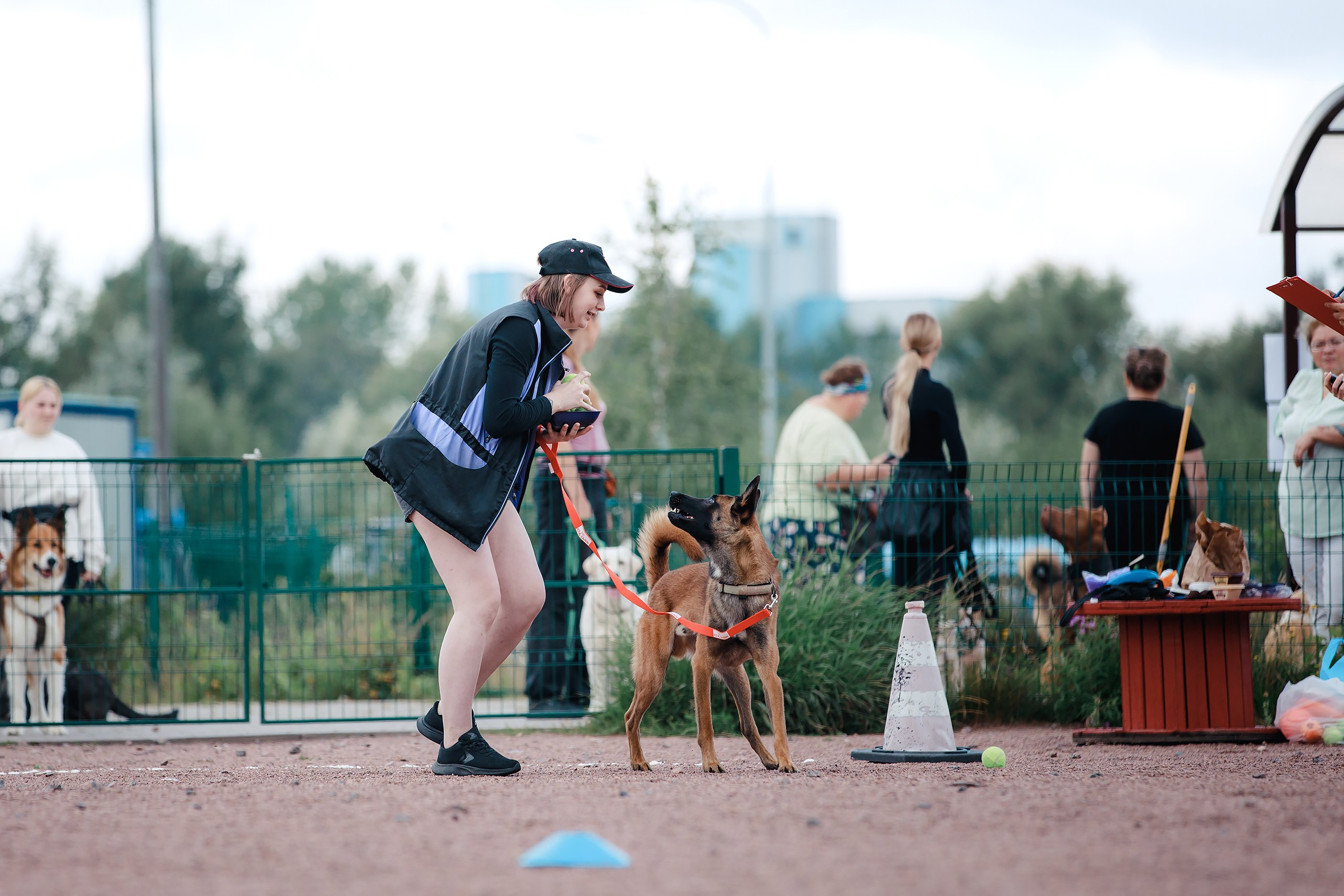 Питч&Гоу + веселые старты. Фотограф-анималист Mary Mart — Москва, Питер