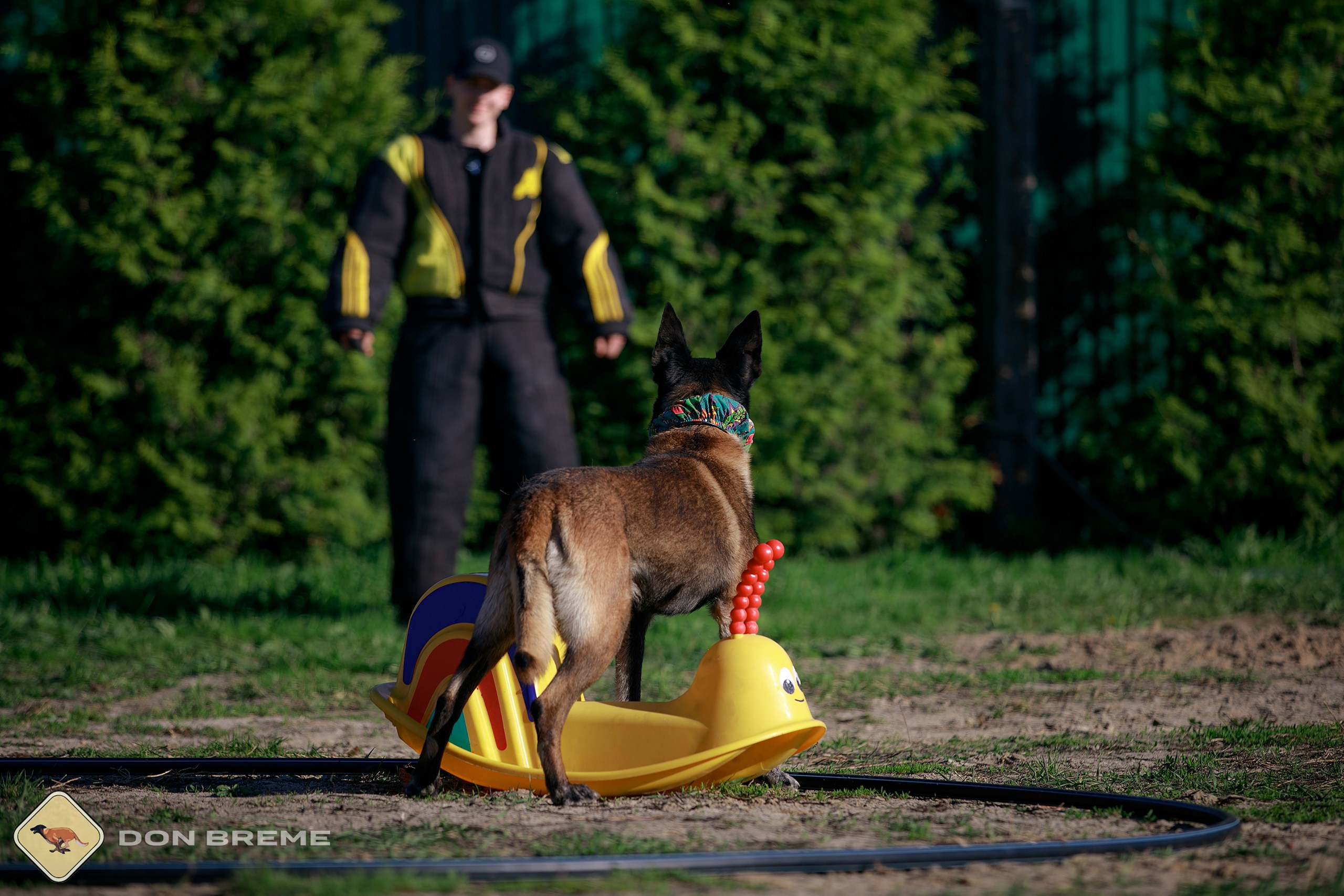 Семинар для фигурантов, день 3. Фотограф-анималист Mary Mart — Москва, Питер