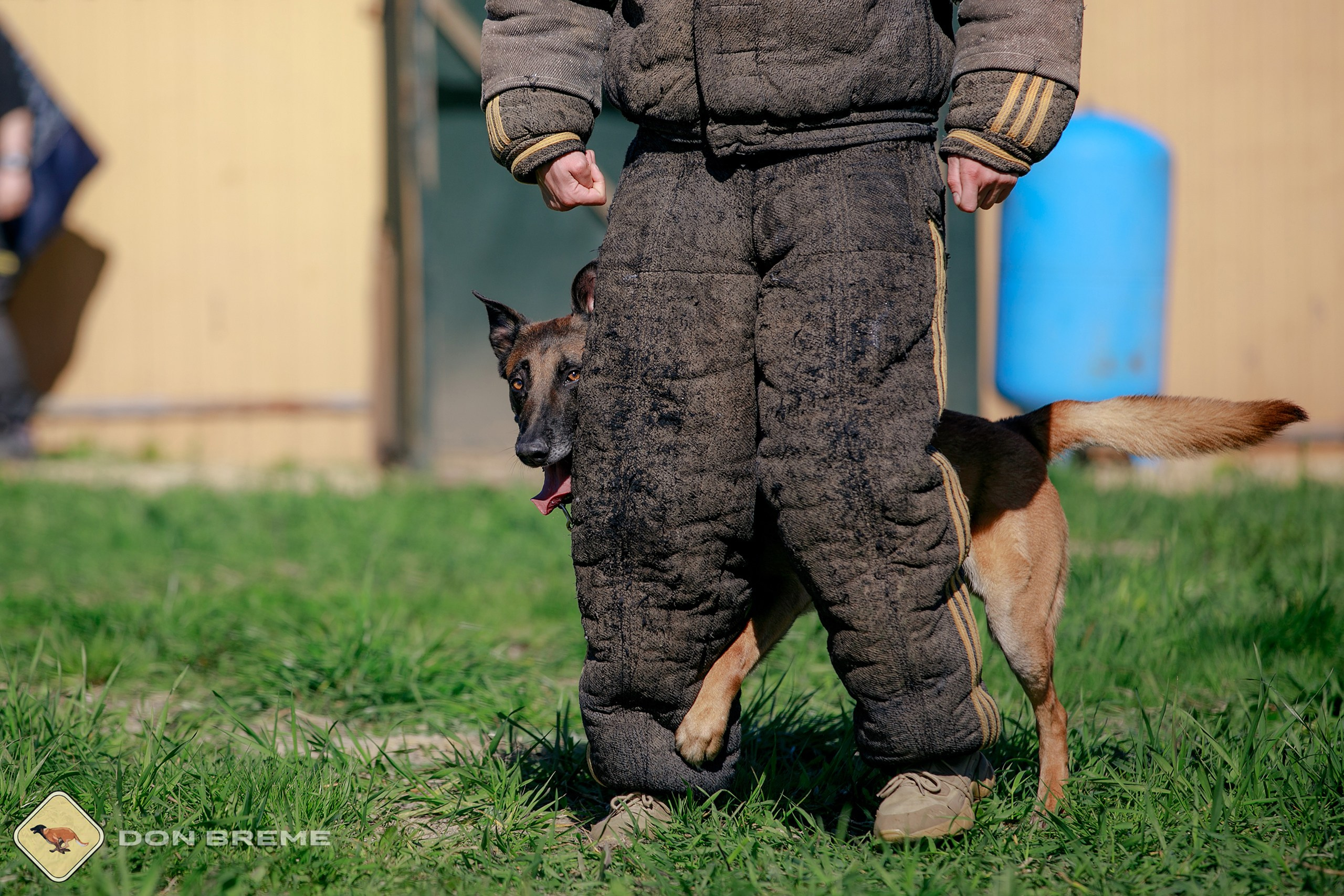 Семинар для фигурантов, день 3. Фотограф-анималист Mary Mart — Москва, Питер