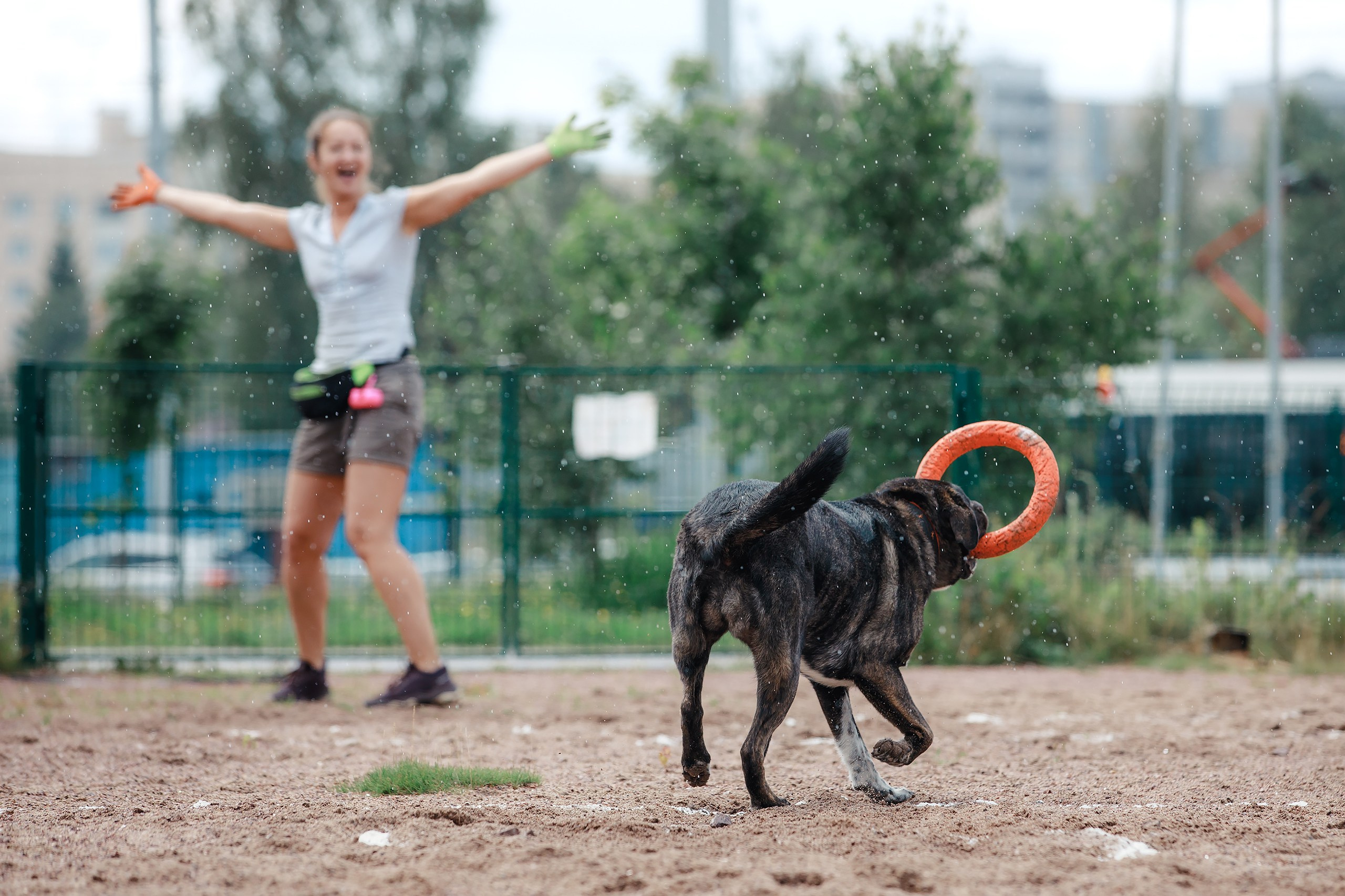 Питч&Гоу + веселые старты. Фотограф-анималист Mary Mart — Москва, Питер