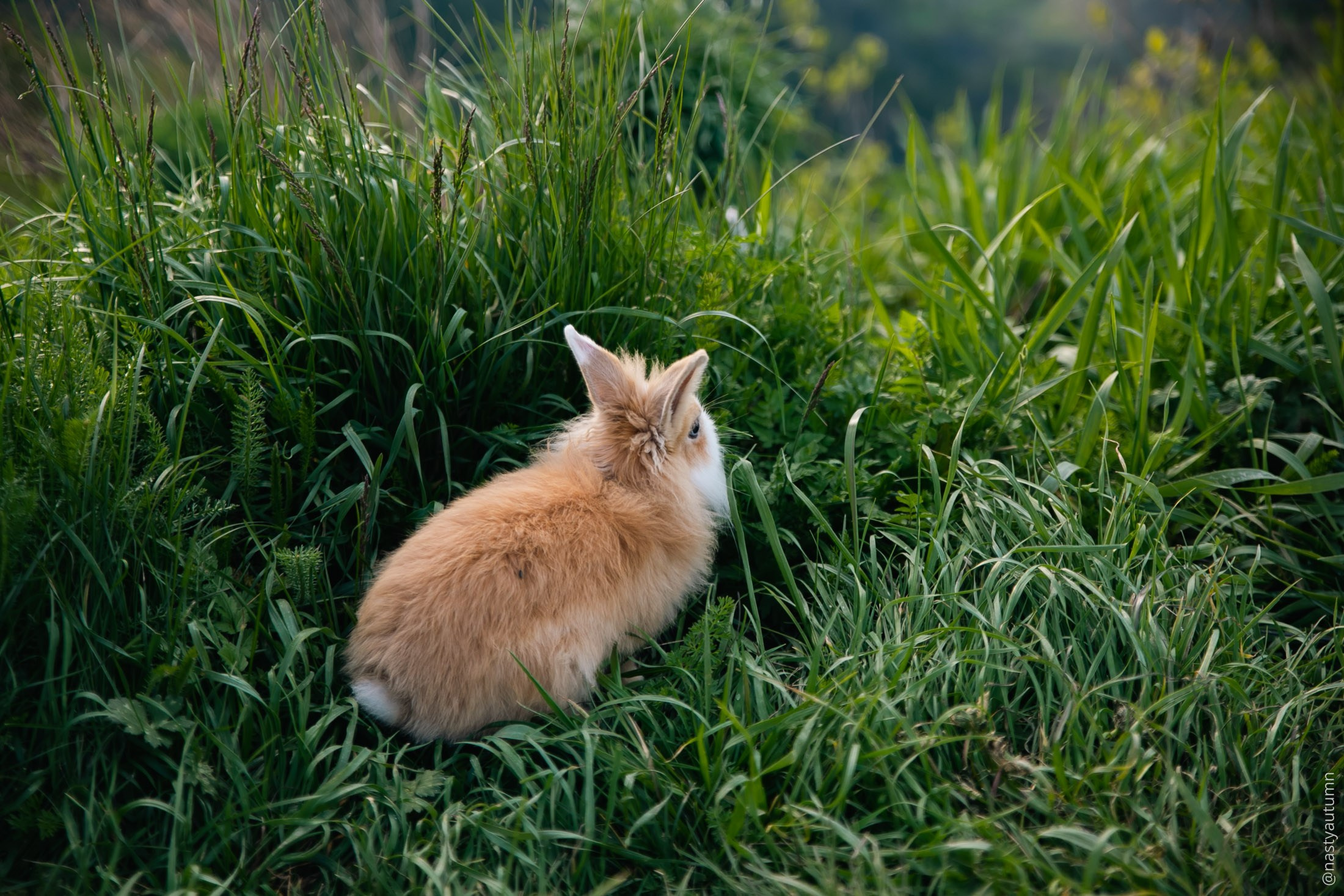 ПУТЕШЕСТВИЯ. Репортажный и концертный фотограф в Москве Анастасия Осень
