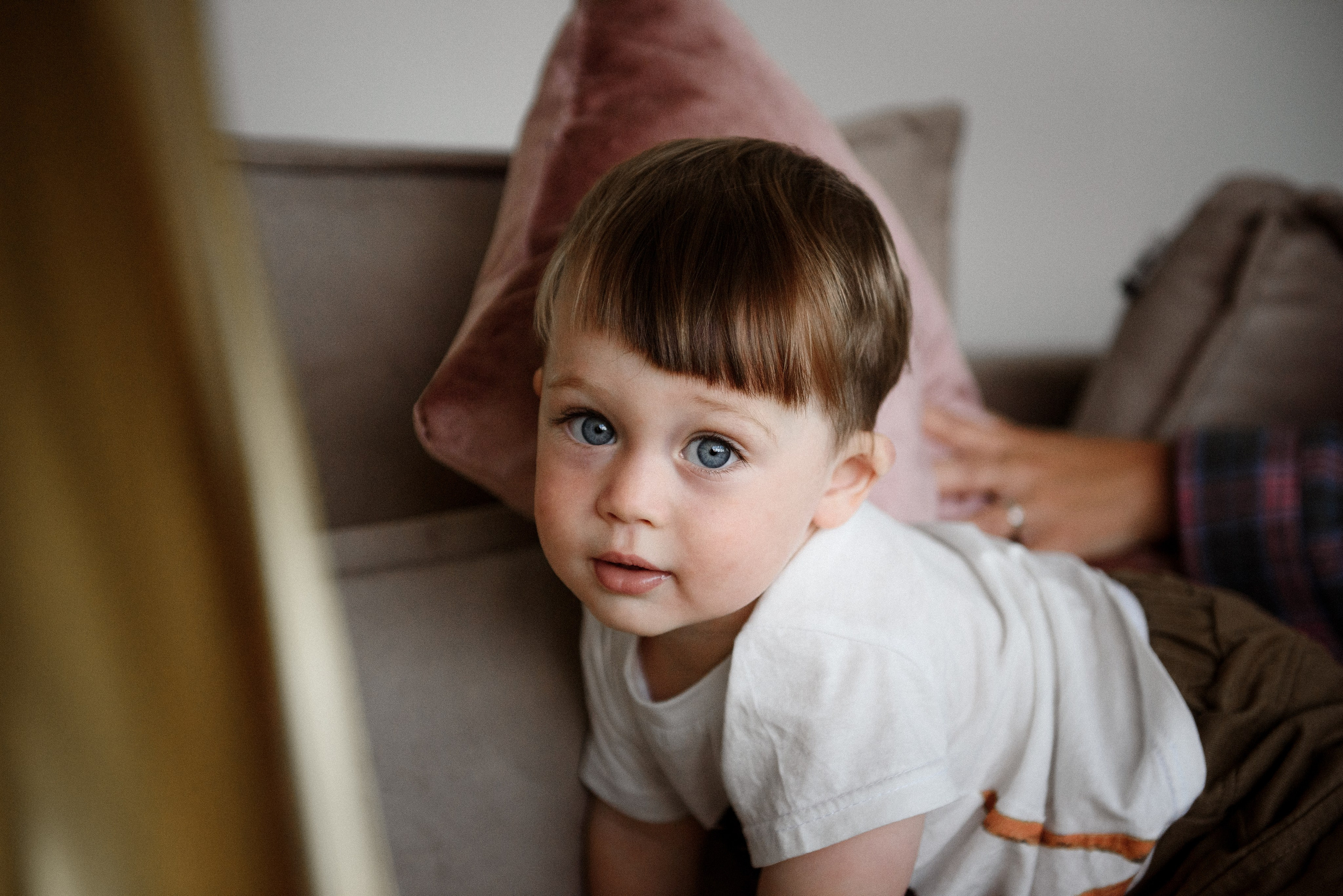 Катя&Артём&Лёвик. Свадебный фотограф в Ярославле и Москве Руслан Иософатов