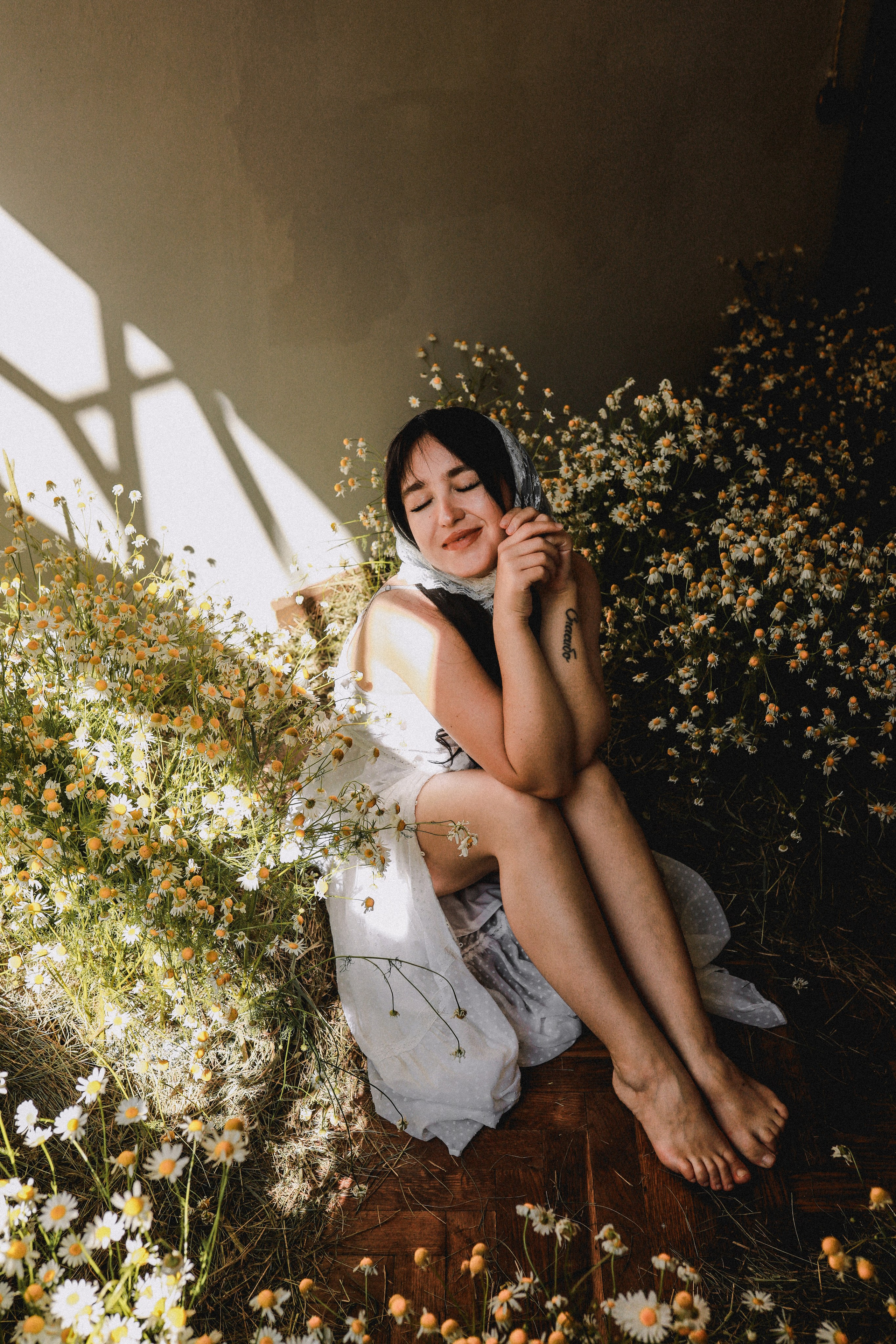 Сон в летнюю ночь | Ромашковое поле