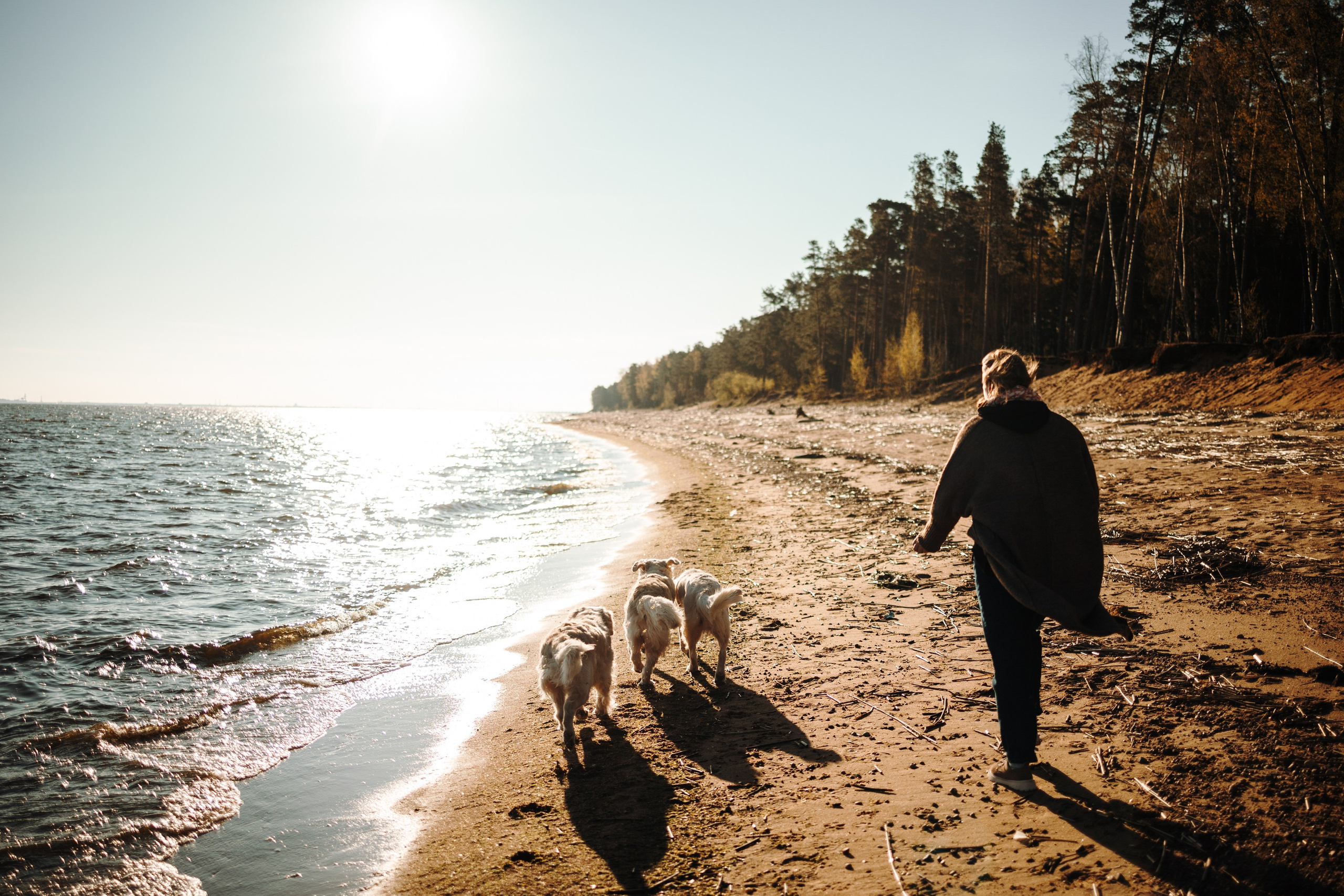 Катя и ее девочки. Фотограф — Анималист | Санкт-Петербург