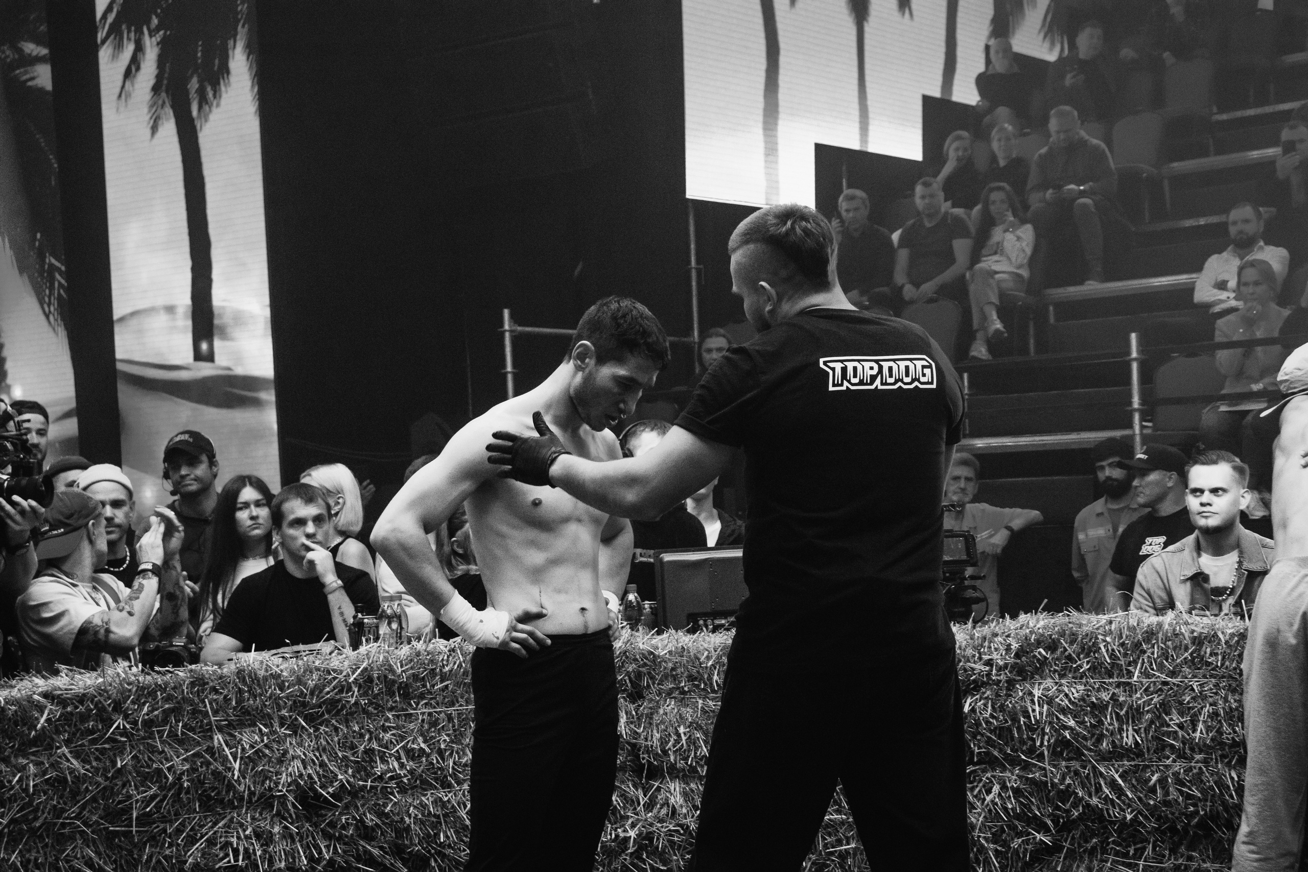 Кулачные бои TopDog. Анастасия Тен