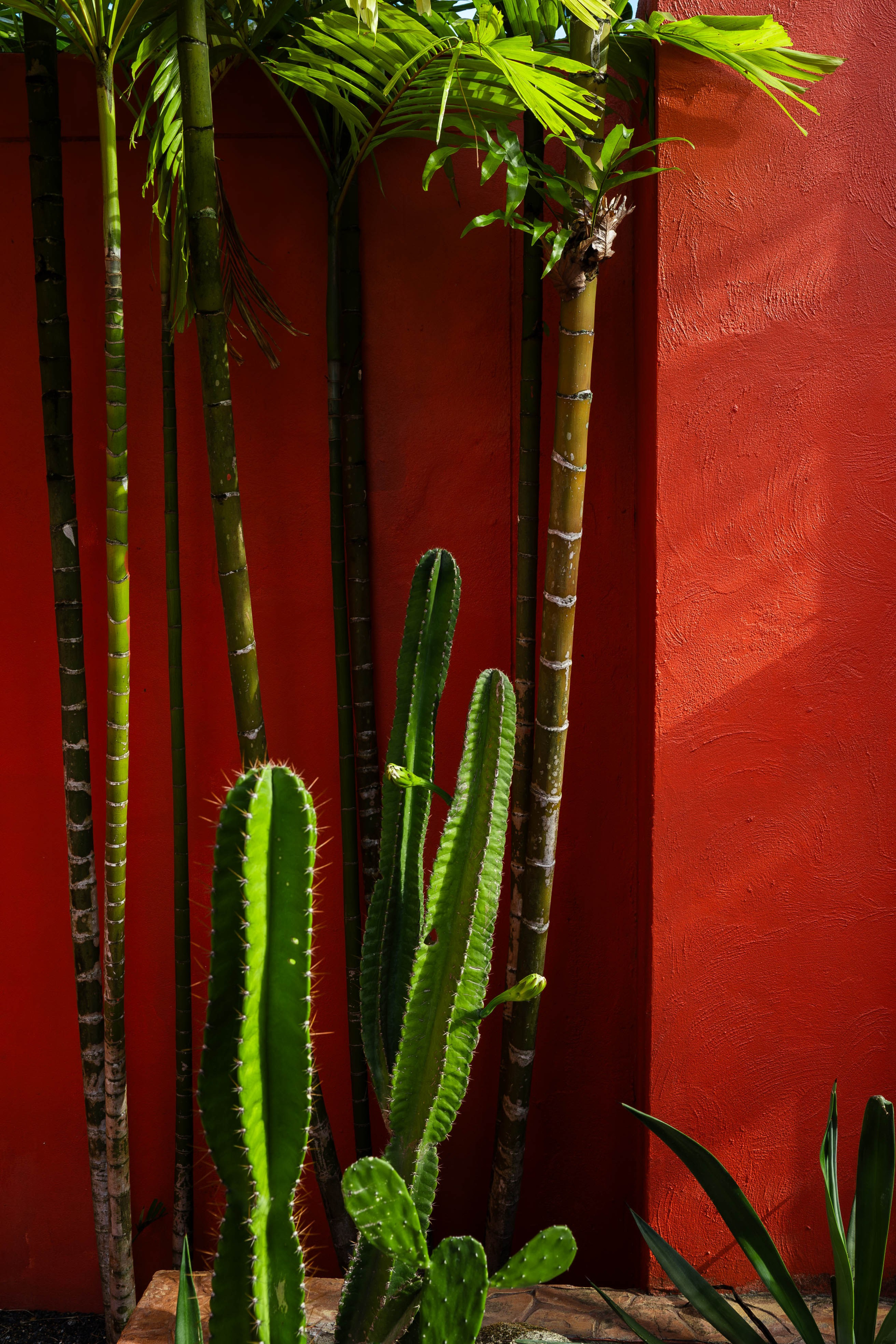 Interior and Real Estate Photography Portfolio | Perelude Interior. Interior photographer in Phuket | Perelude Interior