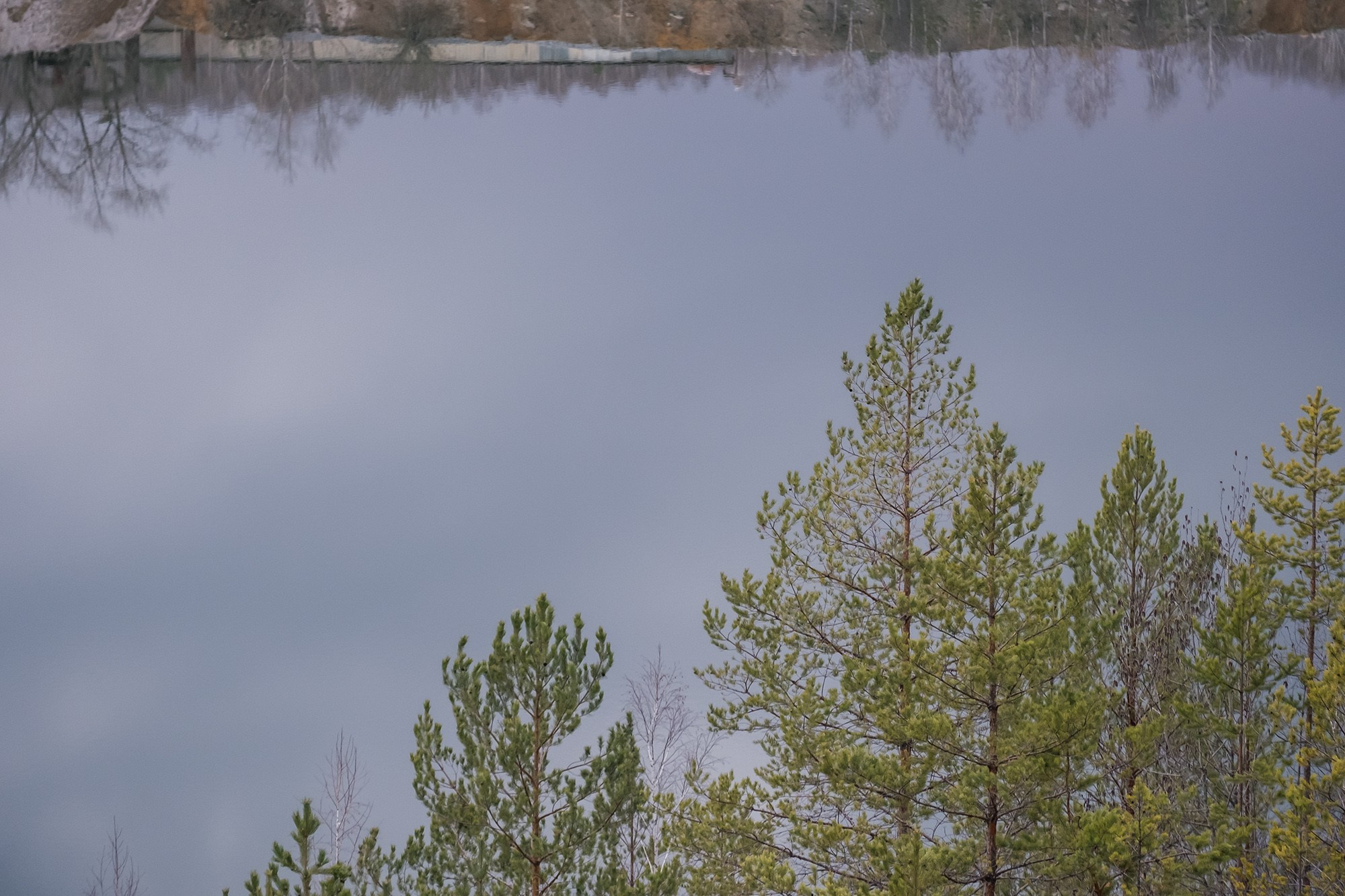 Лес и озеро, другой берег