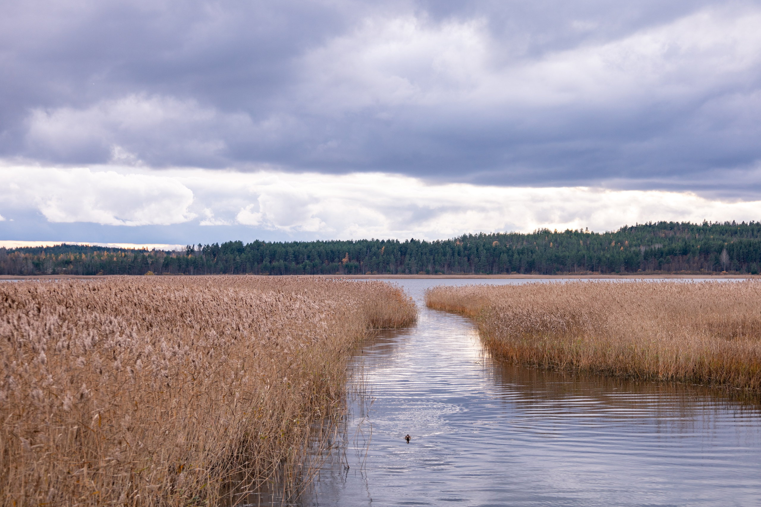 Природа, пейзажи. Гергерт Ксения фотограф в Санкт-Петербурге