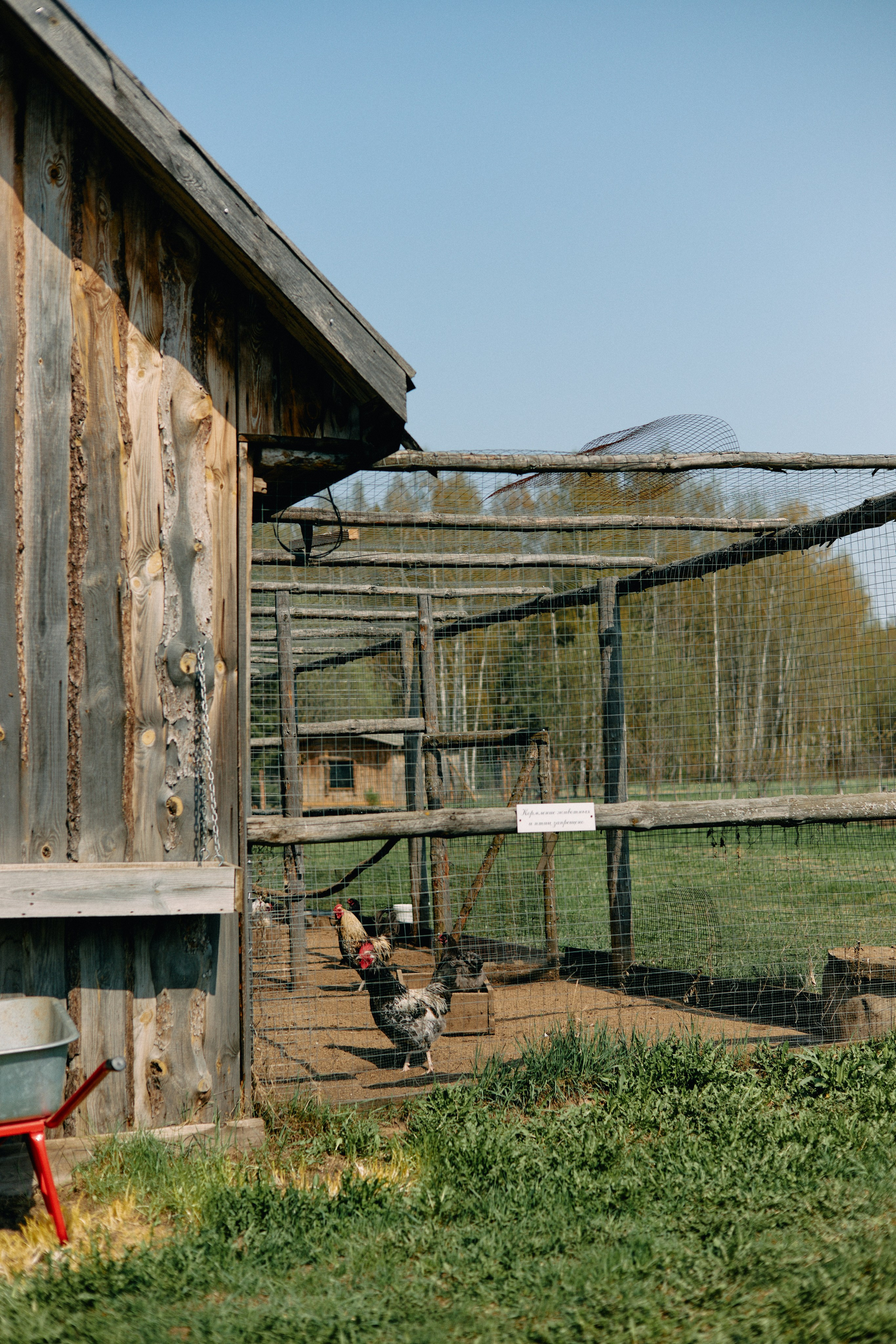 Бутик-отель Поле летом. Профессиональный Фотограф во Владимире, в Москве и в Суздале — Полина Романычева