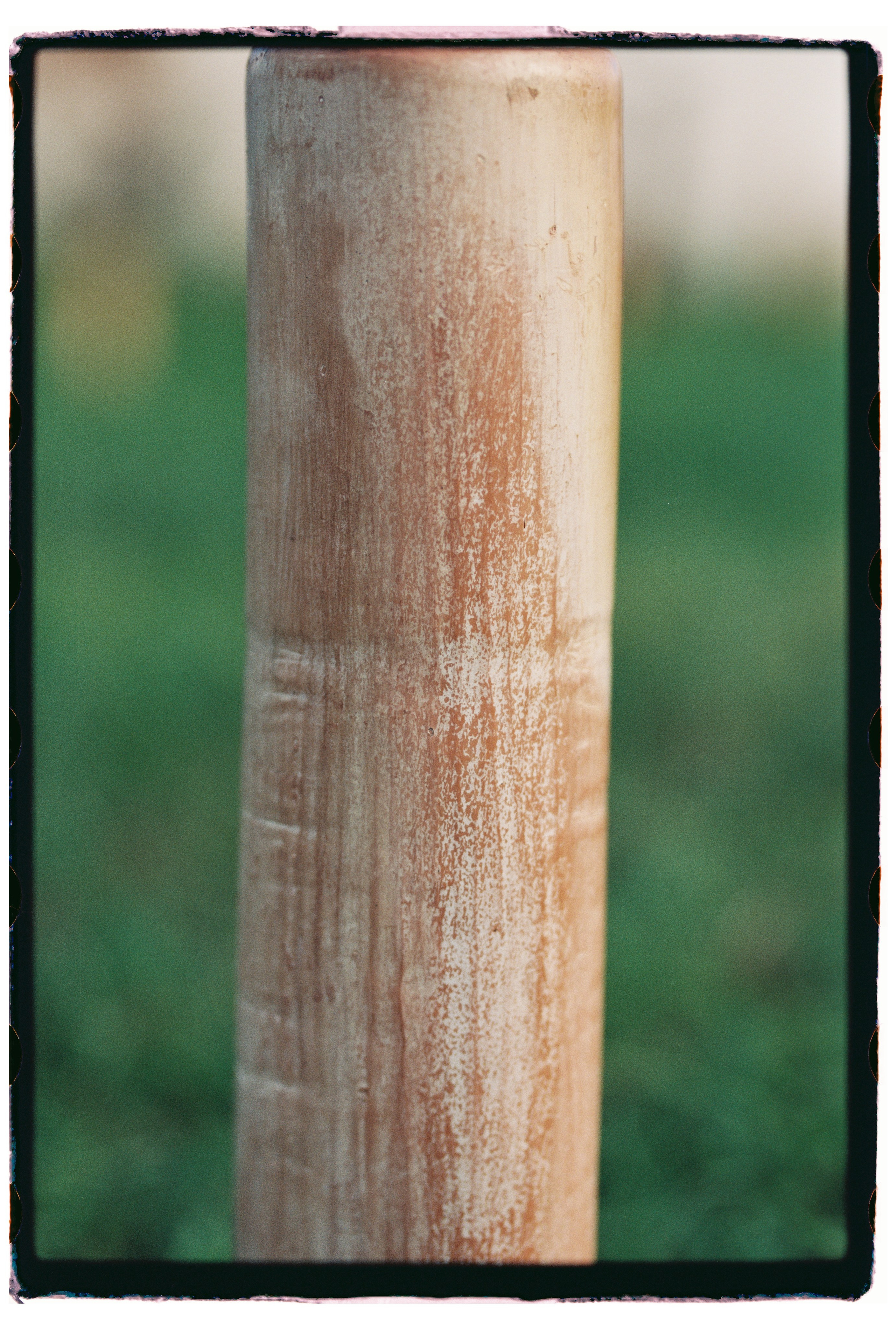 Пленка для журнала. Профессиональный Фотограф во Владимире, в Москве и в Суздале — Полина Романычева