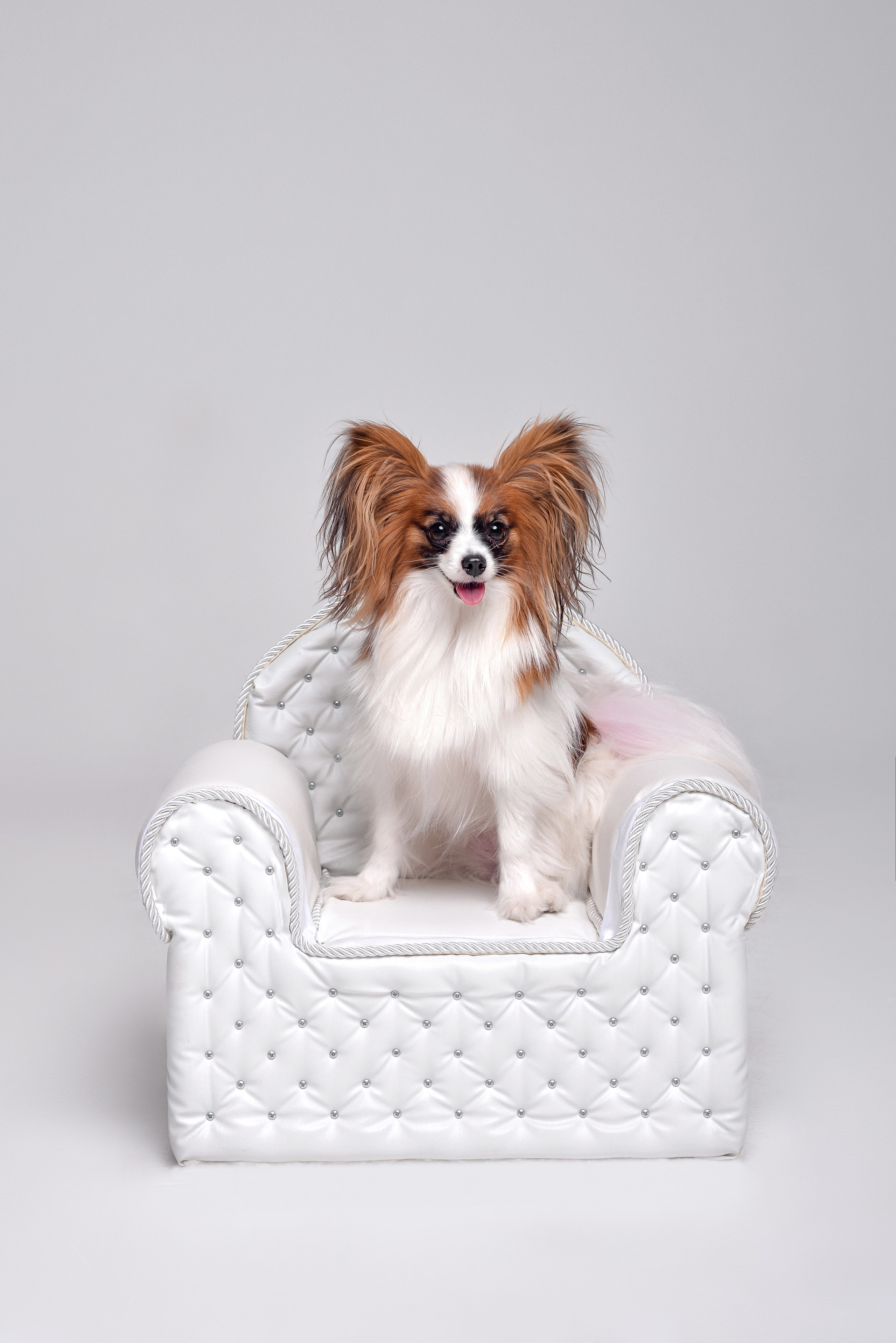 Таня и Настя и Чеси в Точке. Семейный и свадебный фотограф Галина Абакумова, фотосессии в Белгороде