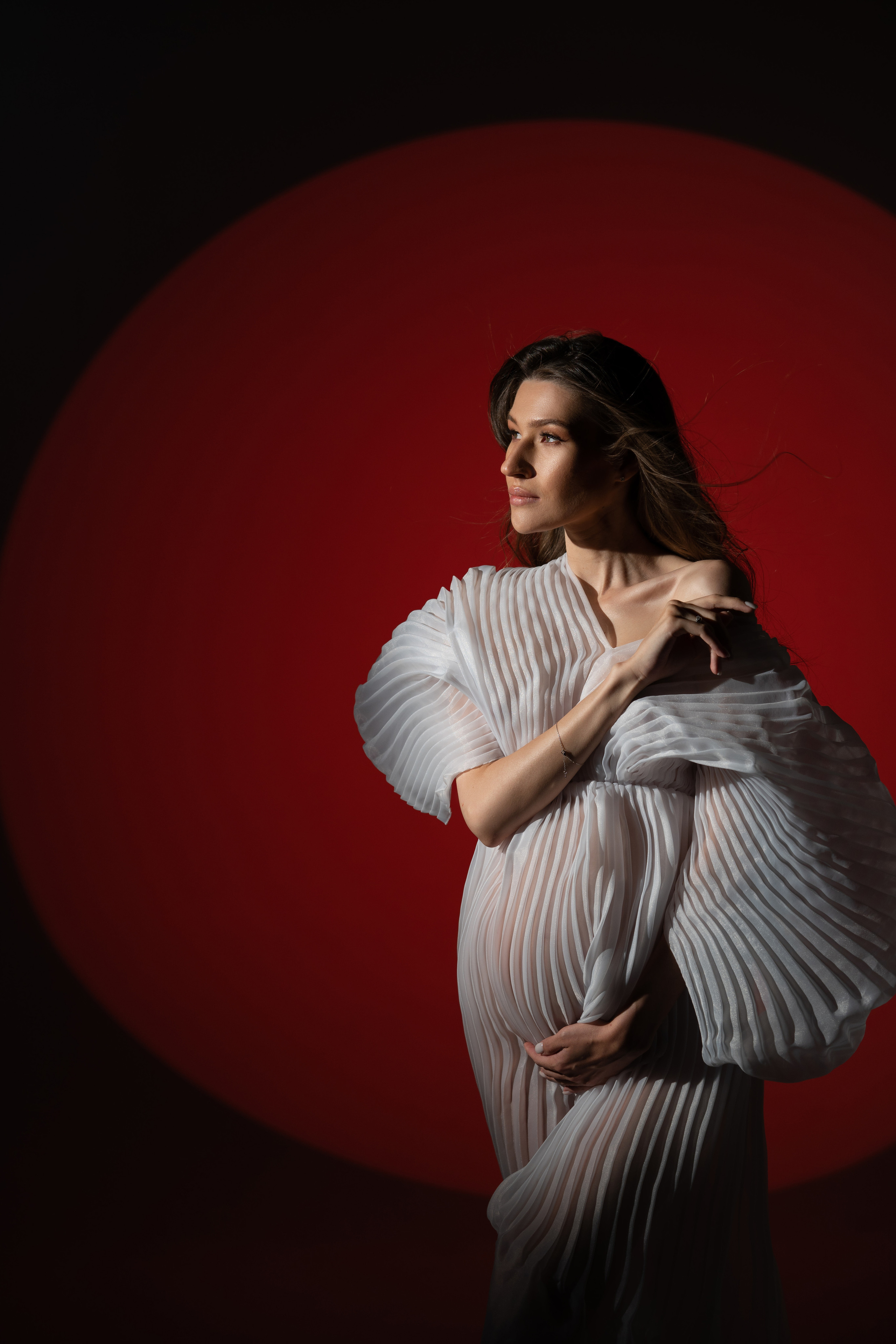 Беременность и семьи. Фотограф беременности Москва