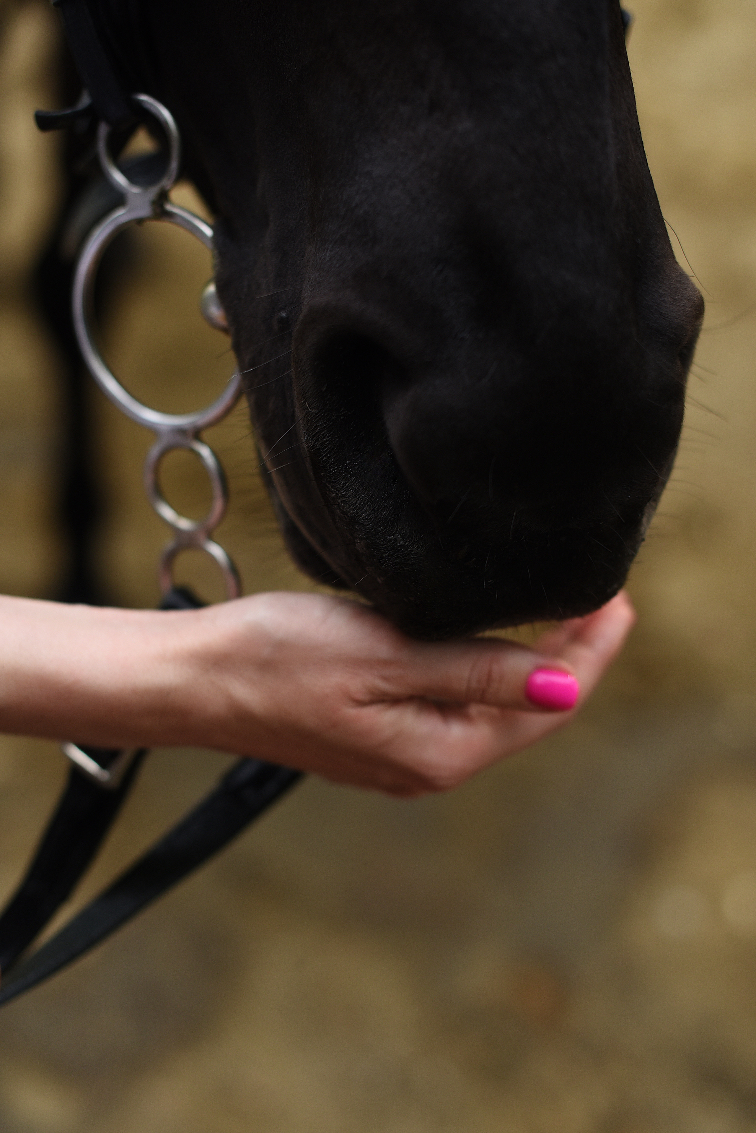 Татьяна. Фотограф и видеограф в Краснодаре Анастасия Шеверева