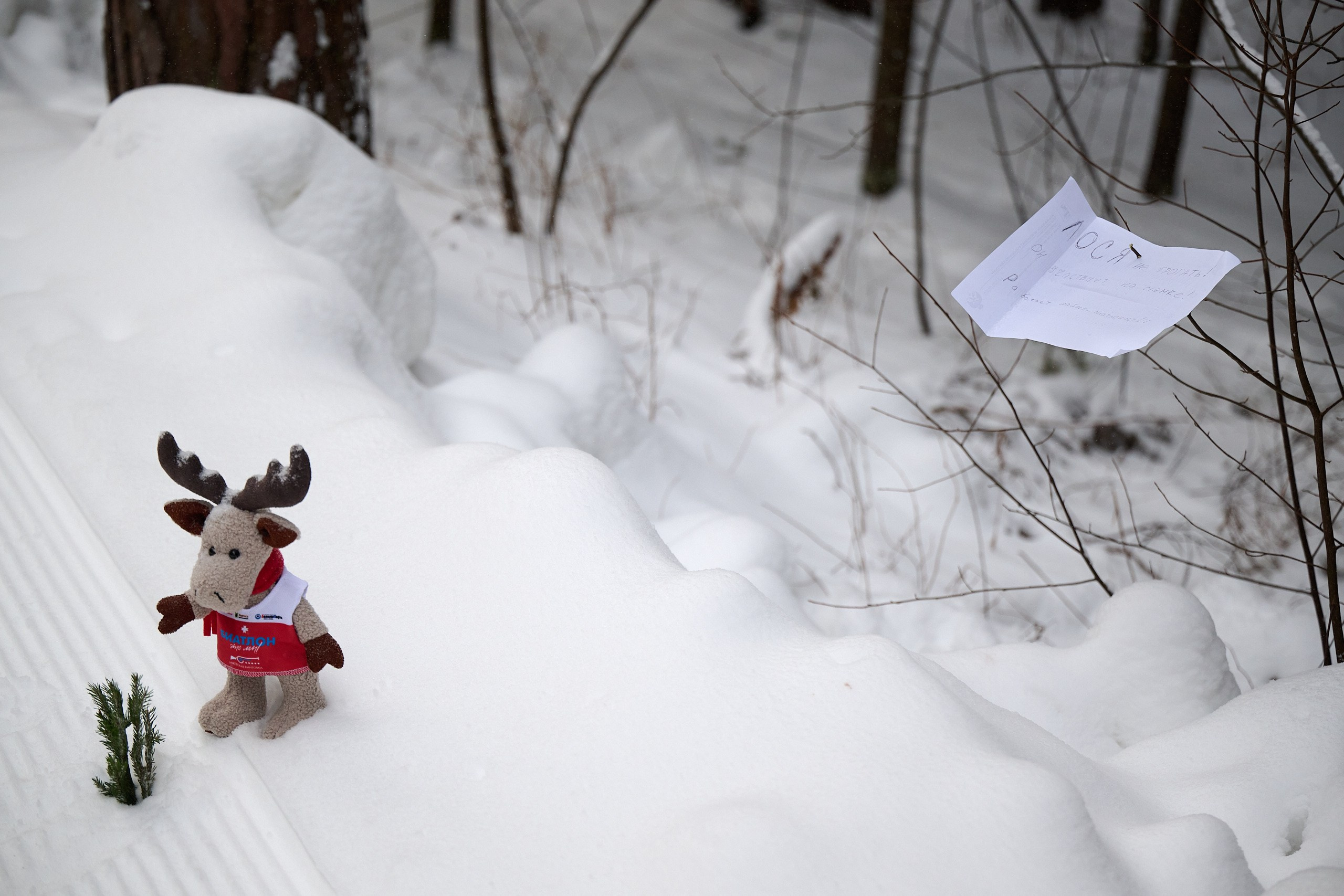 Биатлон. Чемпионат России — 2024/2025, 3-й этап, Ижевск. Спринт. Мужчины. Спортивный репортажный фотограф в Ижевске Сергей Мерзляков