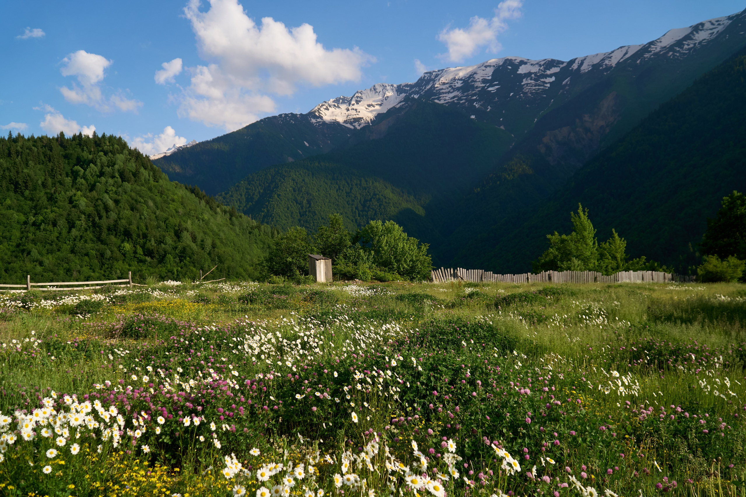 Путешествие по Грузии — фотосессия и репортаж | Филипп Линзин. Репортажный и портретный фотограф в Санкт-Петербурге Филипп Линзин