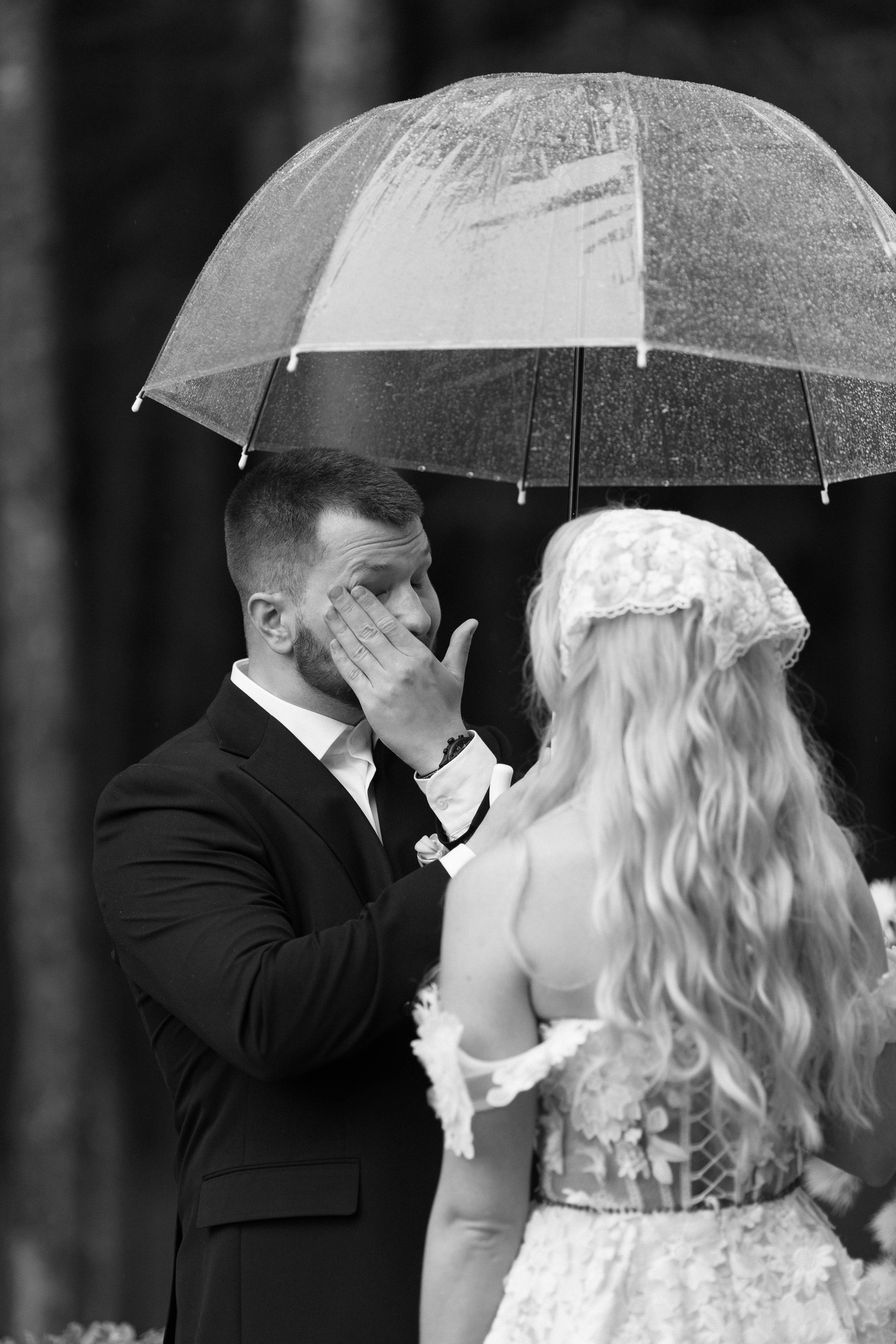 Зеленый сад