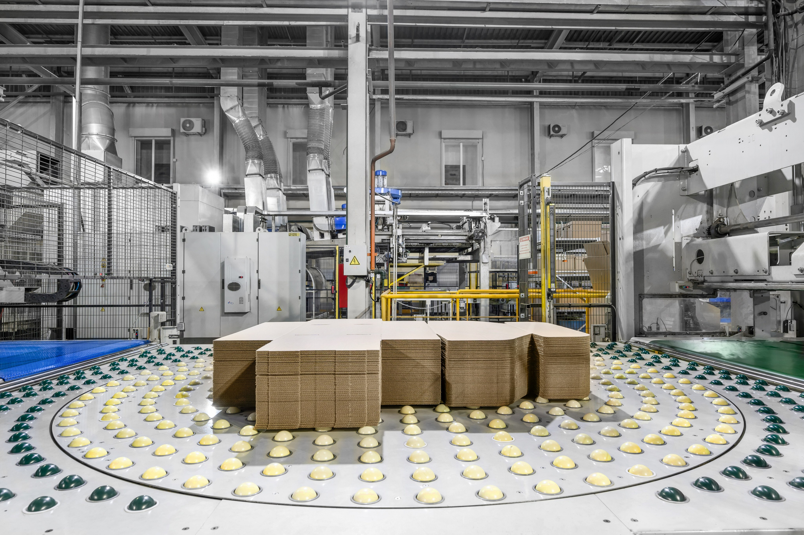 Проекты. Профессиональный фотограф Вячеслав Плацында | Липецк |