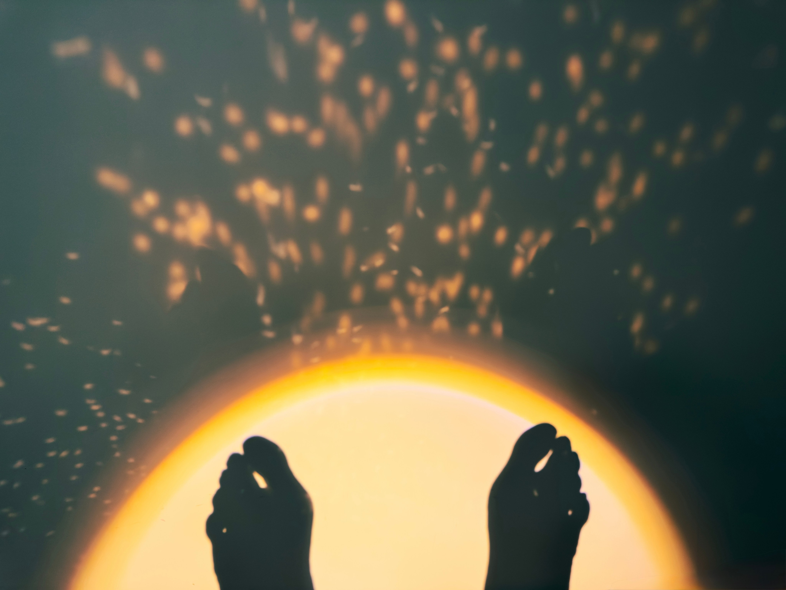 Световой дневник. Поиск неочевидного. ElizabetArt — фотограф в Воронеже Елизавета Хлусова