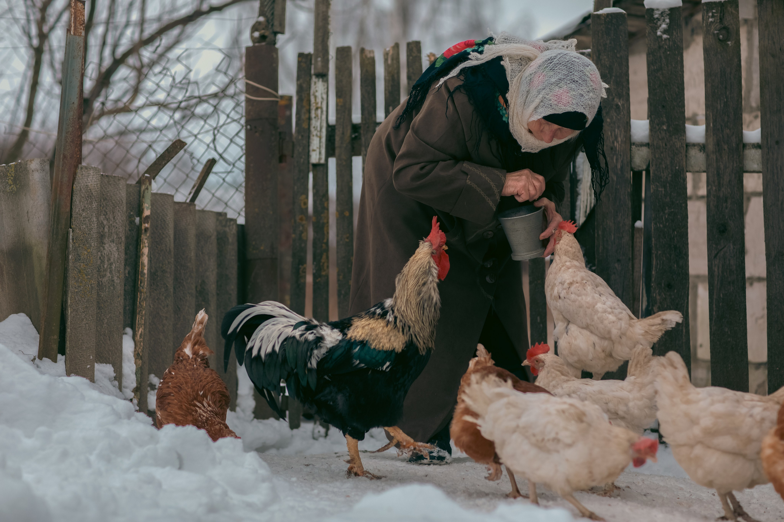 В деревне. Фотограф Минск Юлия Войнич