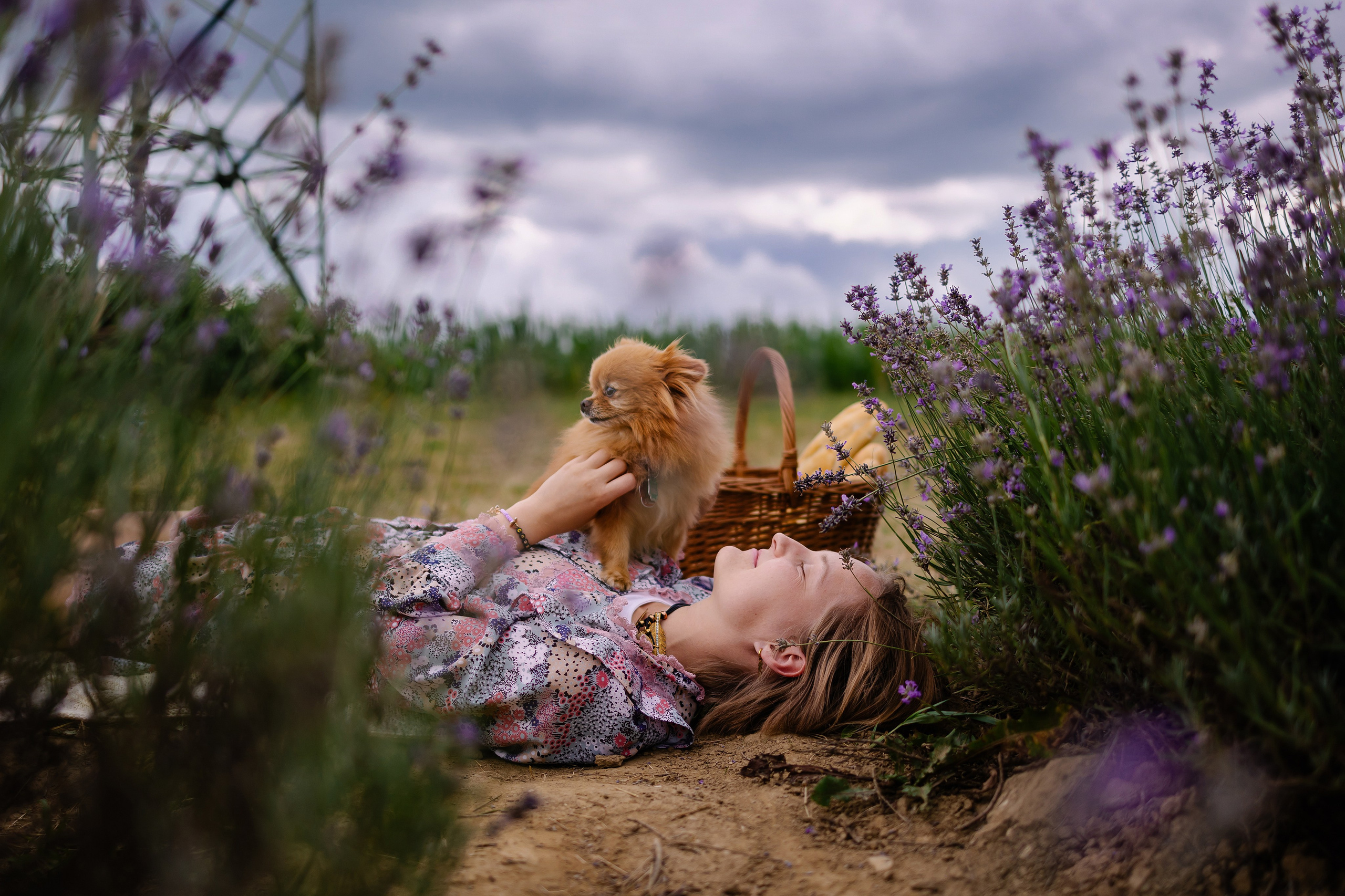 Hundeshooting / Hundefotografie. Fotografin in München Dasha Antipina
