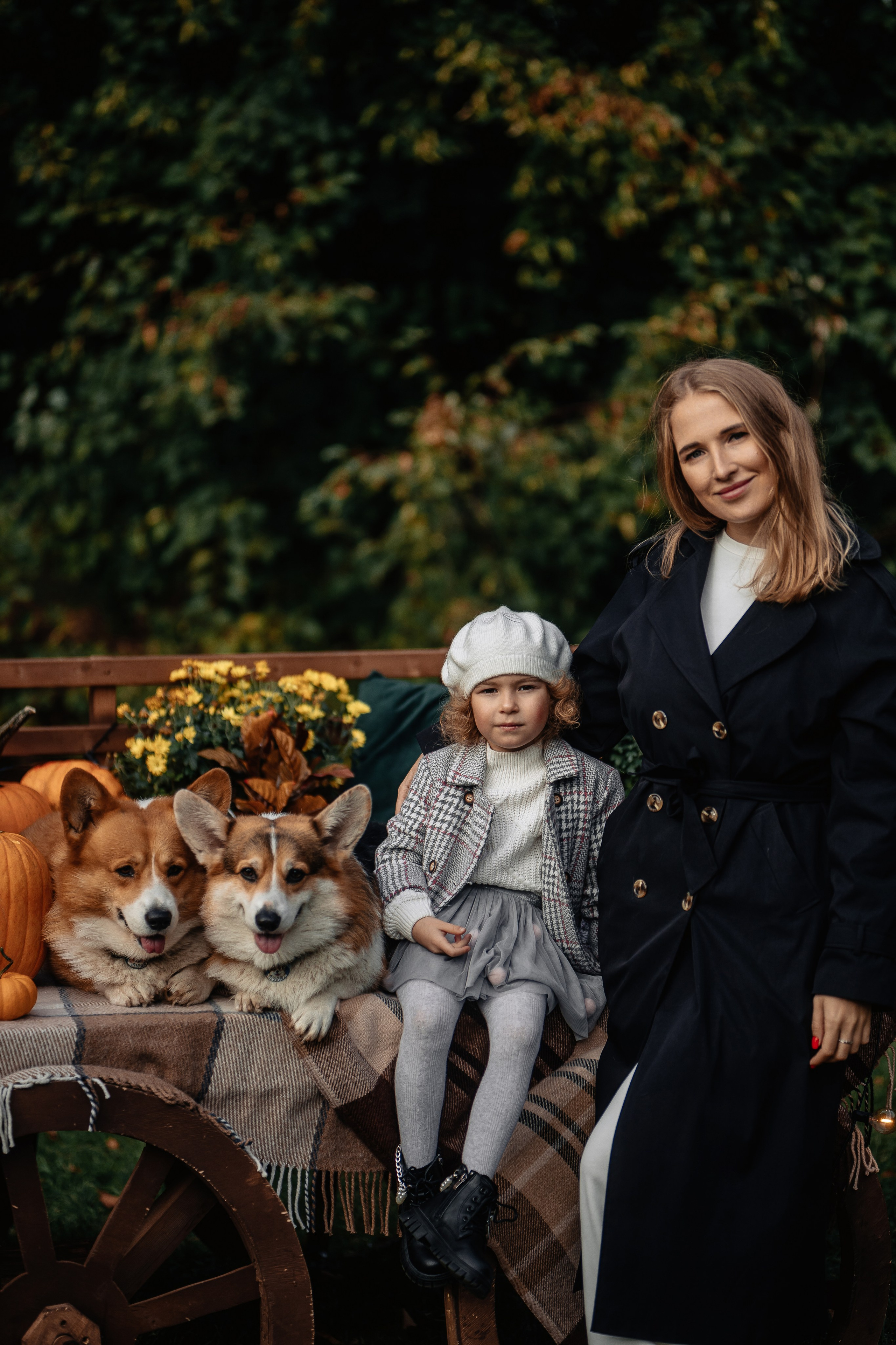 Фотосессия с собаками