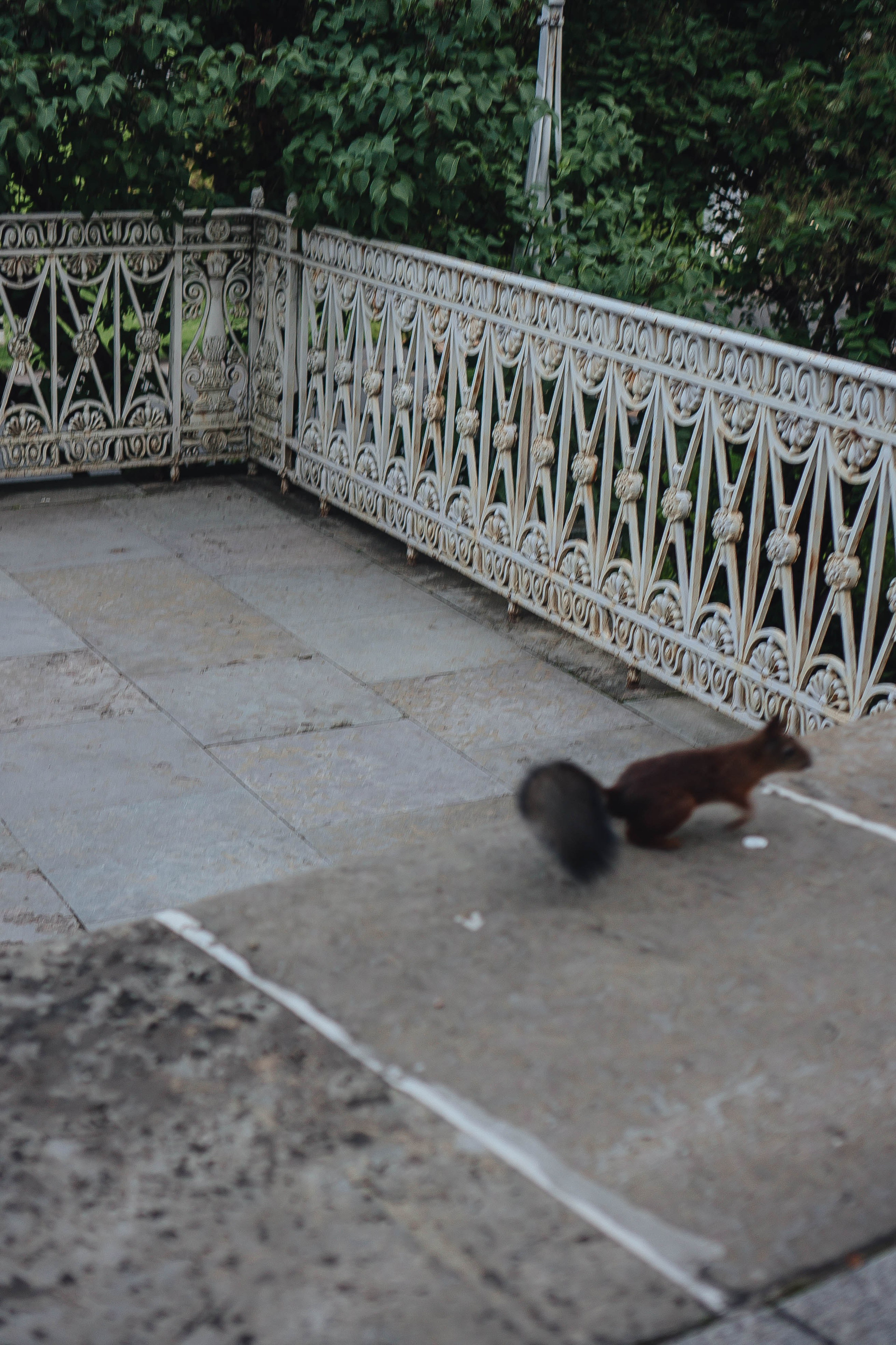 СВАДЕБНАЯ СЬЕМКА НА РАССВЕТЕ НА ЕЛАГИНОМ ОСТОРОВЕ. Профессиональный фотограф, Санкт-Петербург — Виктория Богомолова