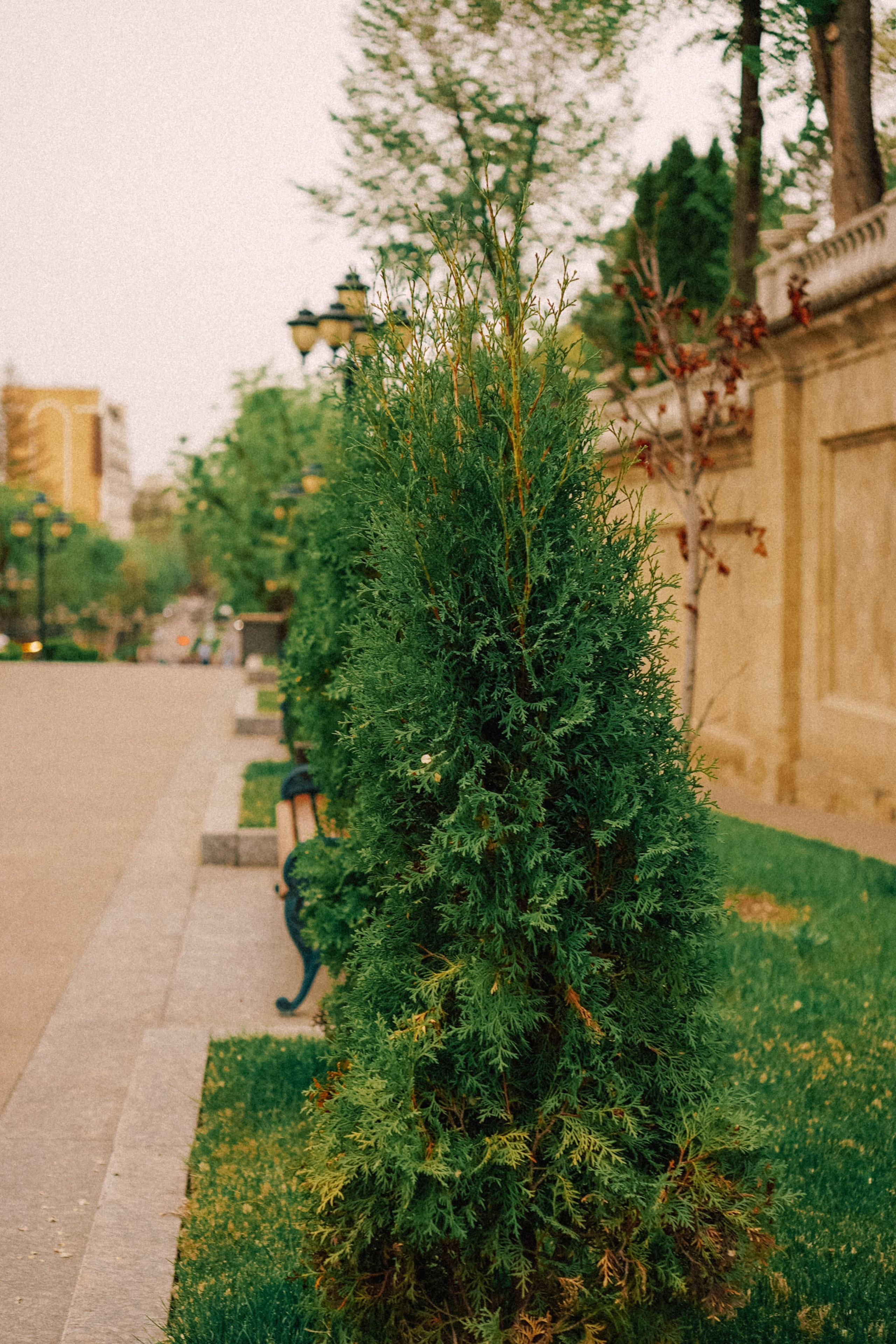 КИСЛОВОДСК. Профессиональный фотограф, Санкт-Петербург — Виктория Богомолова