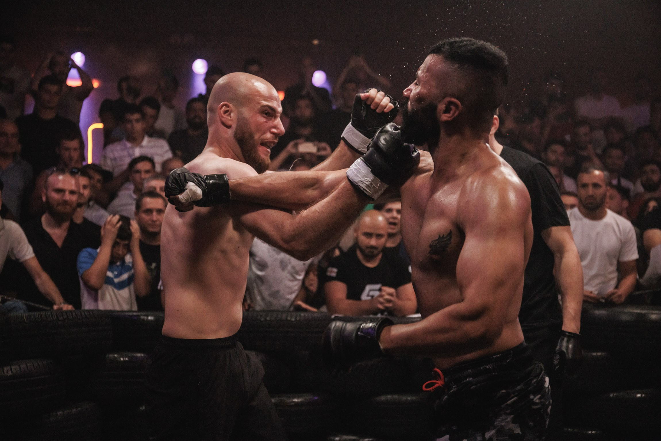 Sport / Events. Bivol images